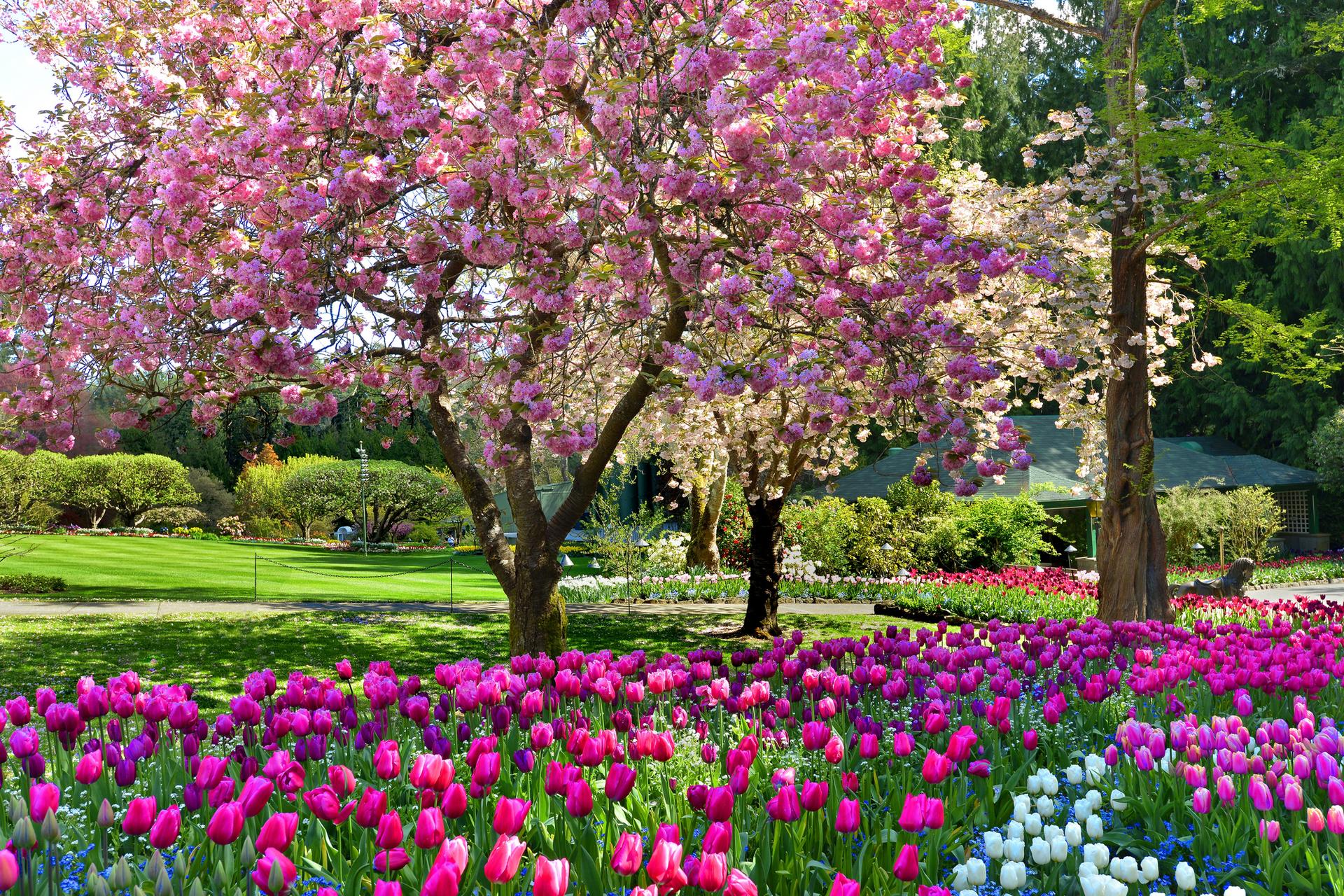 Butchart Gardens, Victoria