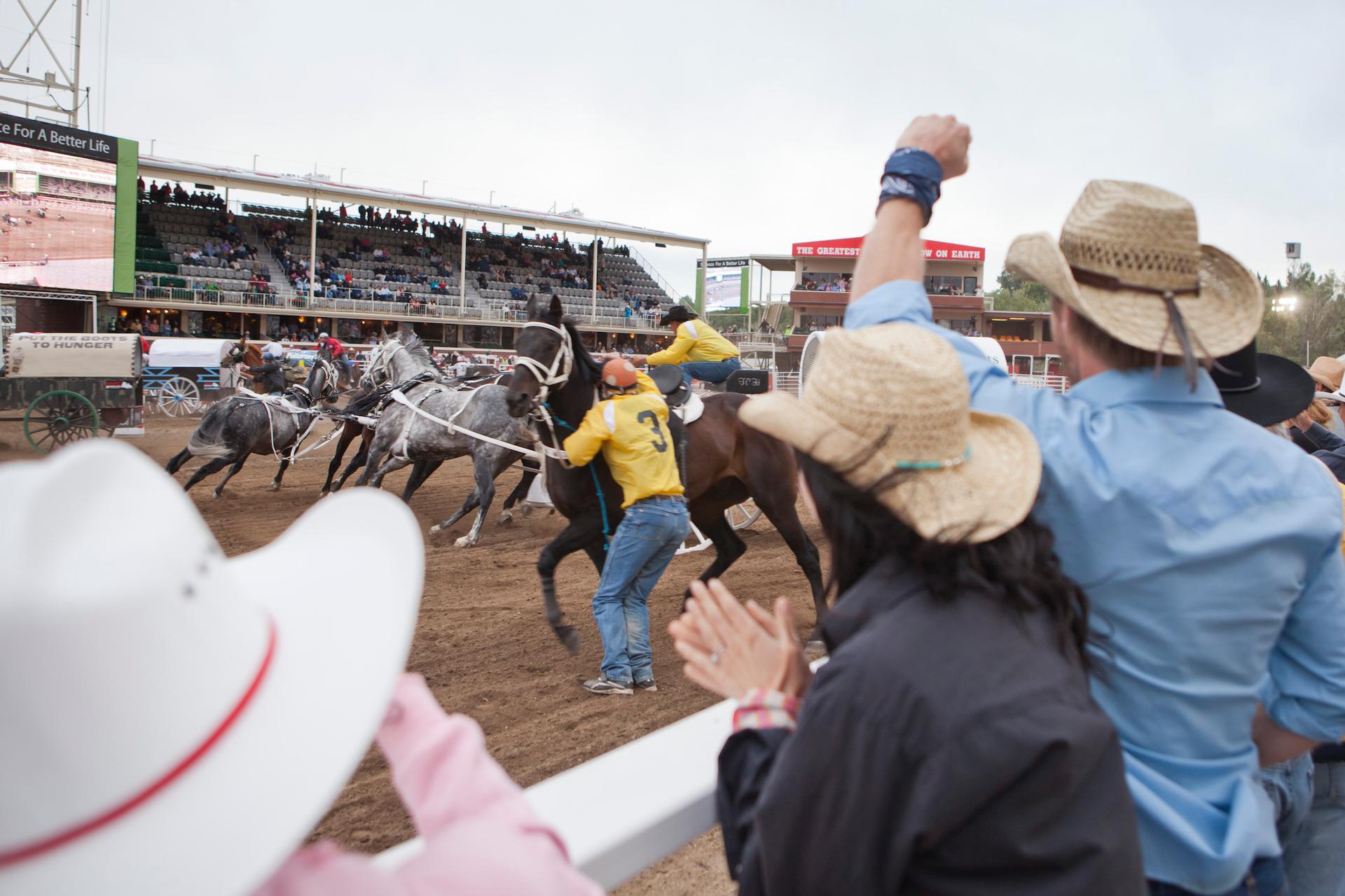 Calgary Stampede