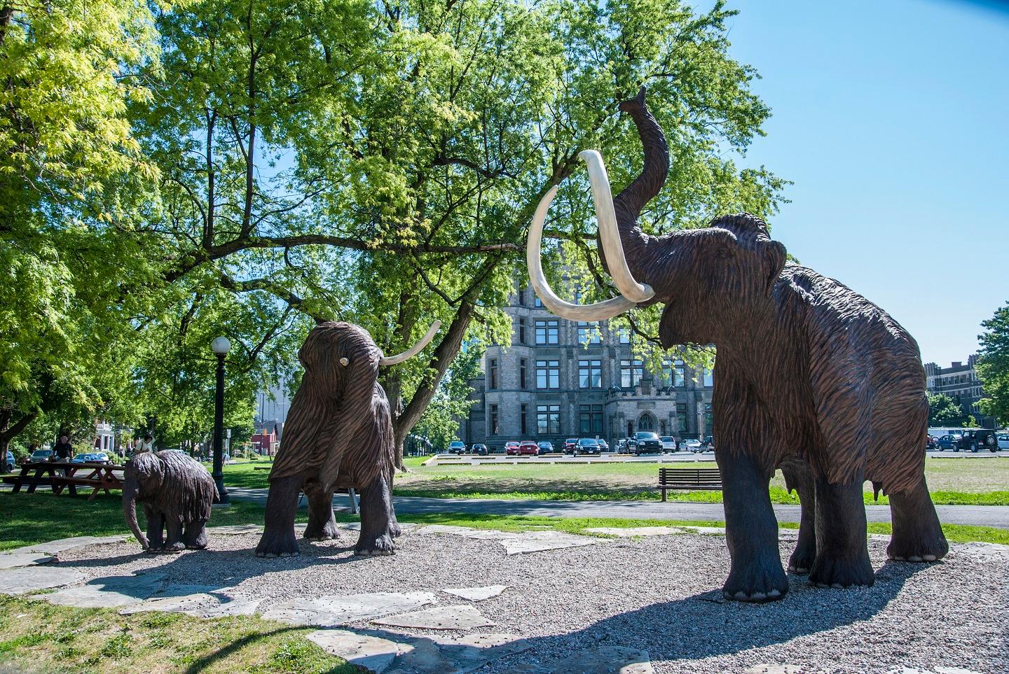 Canadian Museum of Nature