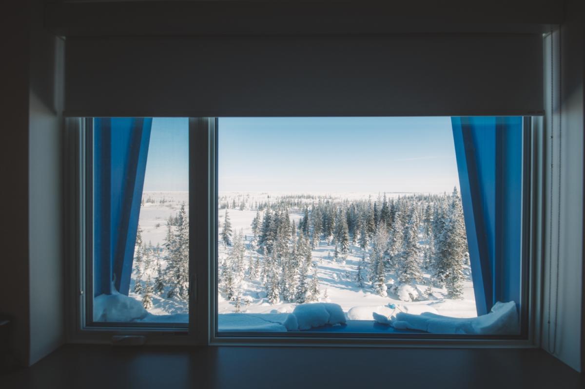 The view from a room at the Churchill Northern Studies Centre - Credit: Travel Manitoba