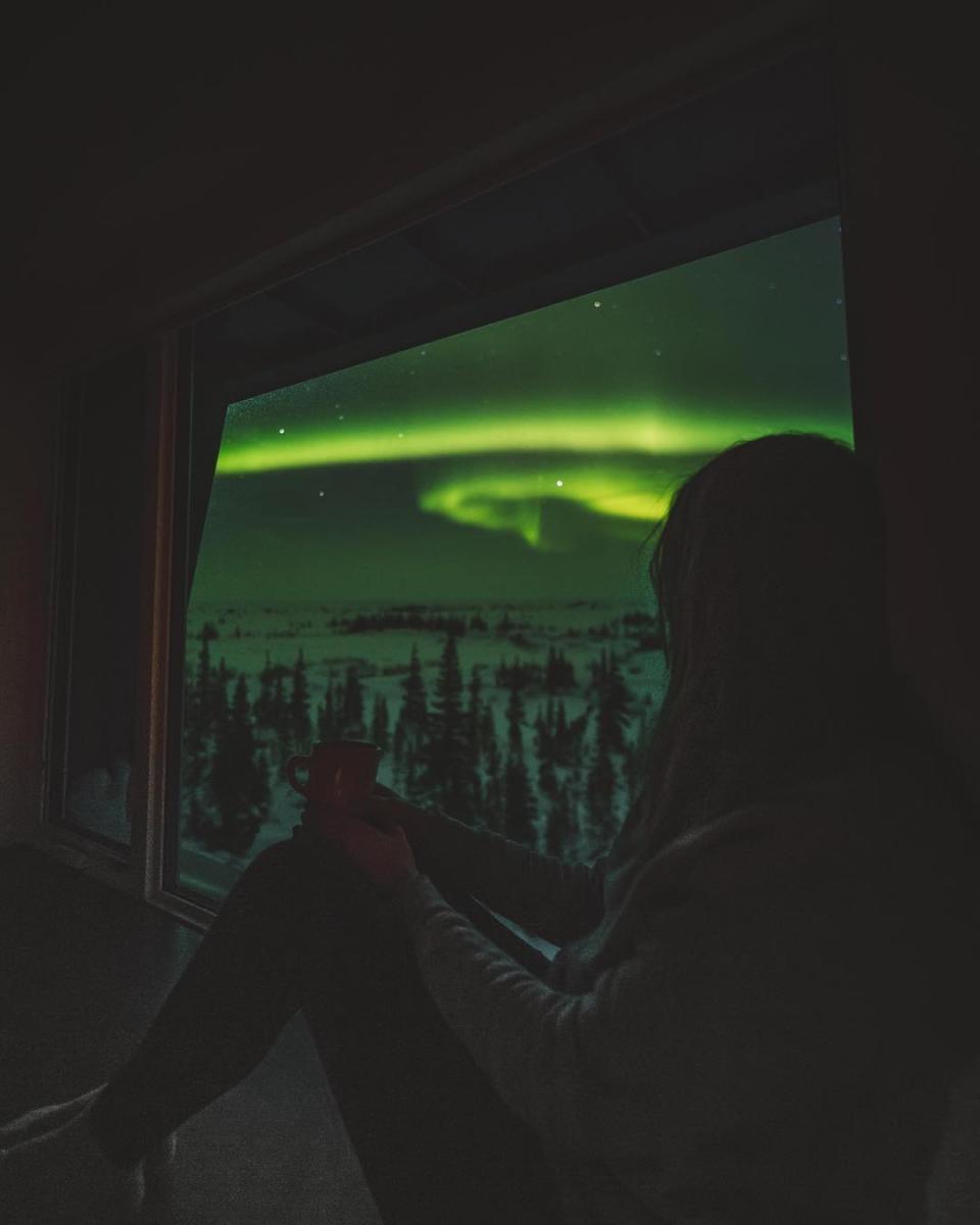 Churchill Northern Studies Centre Northern Lights