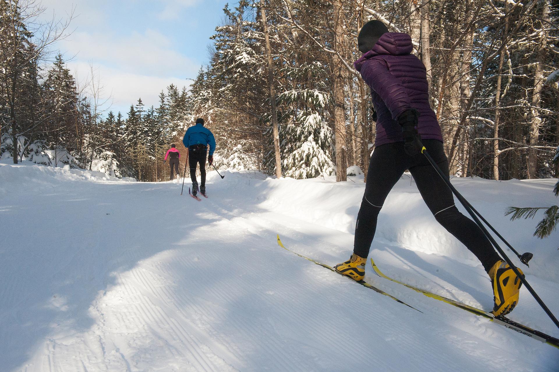 Nordic skiing in Brookvale Provincial Park
