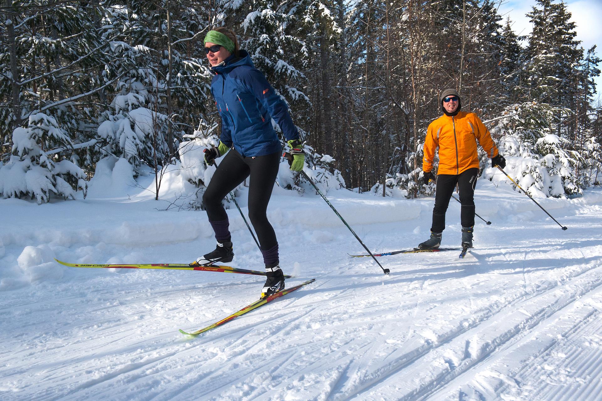 Skiing at Brookvale Provincial Park