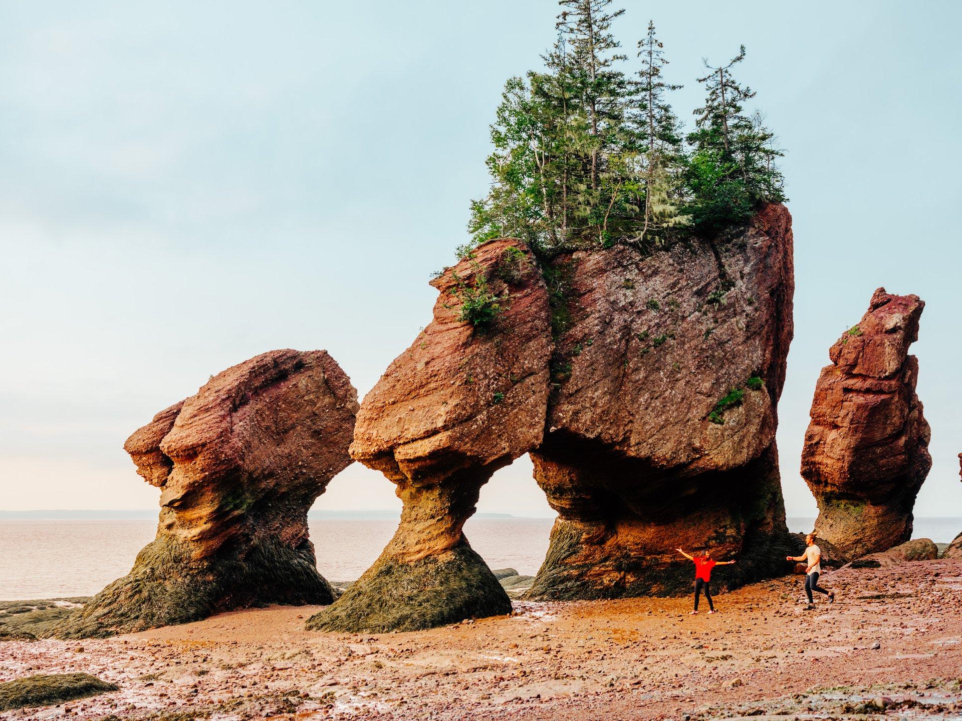 High tides, high adrenaline: the Bay of Fundy