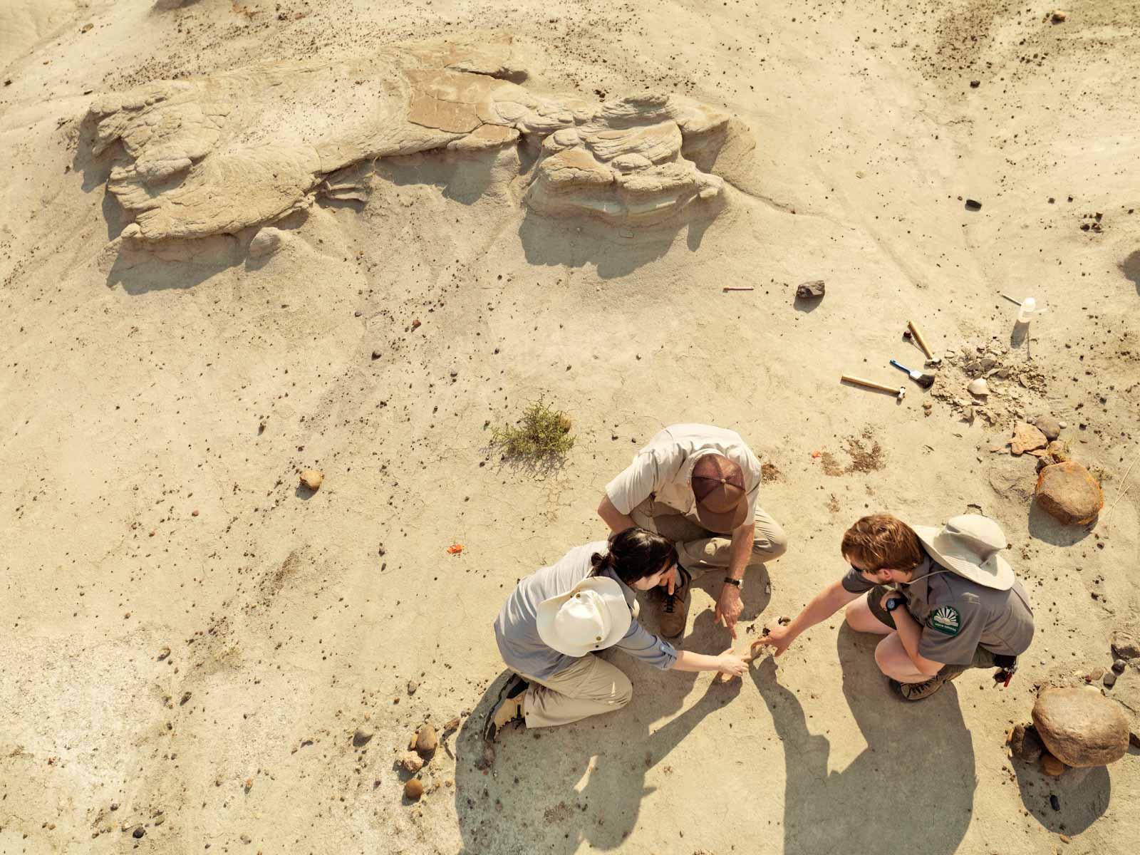 Dinosaur Provincial Park