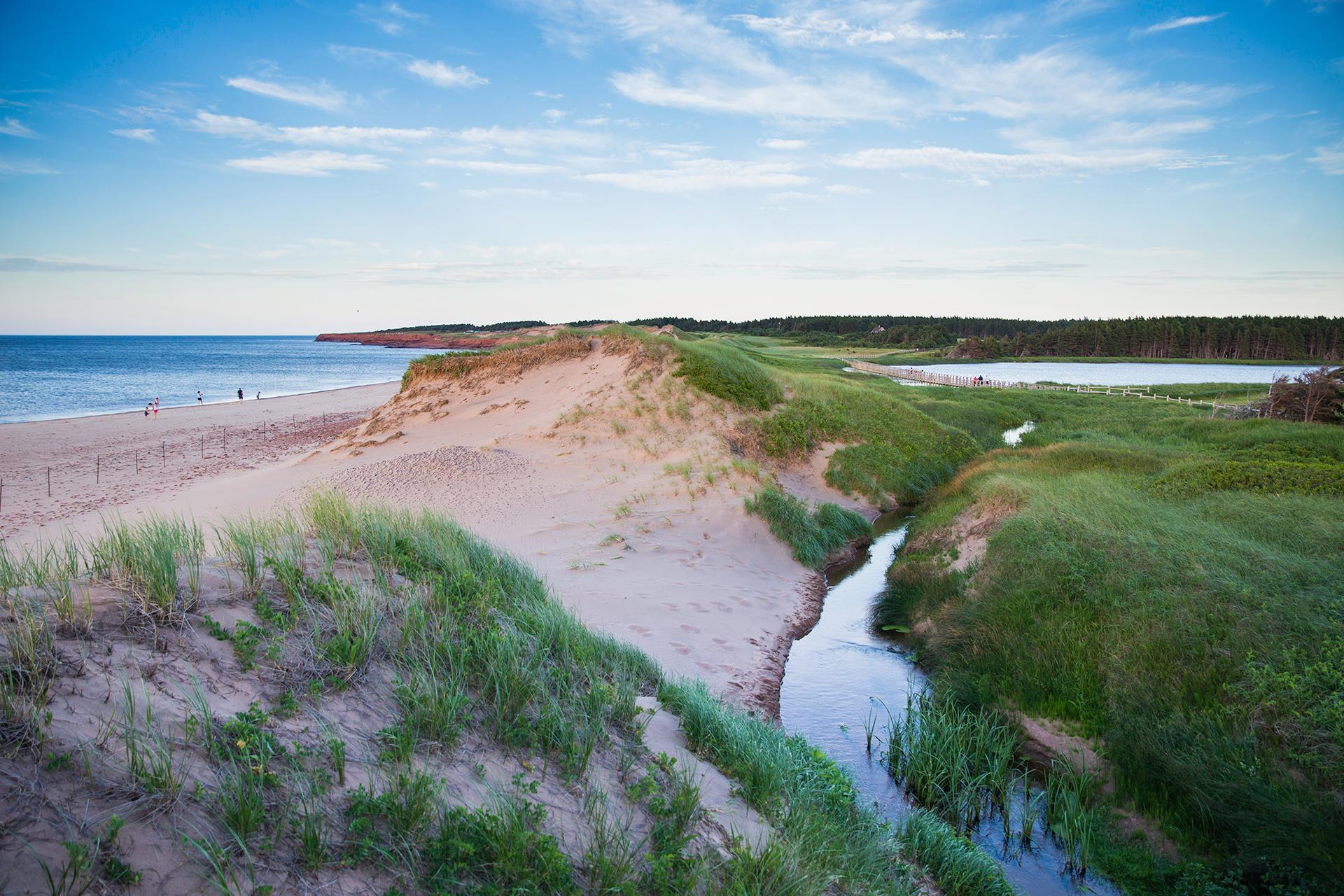 Cavendish Beach Dunes