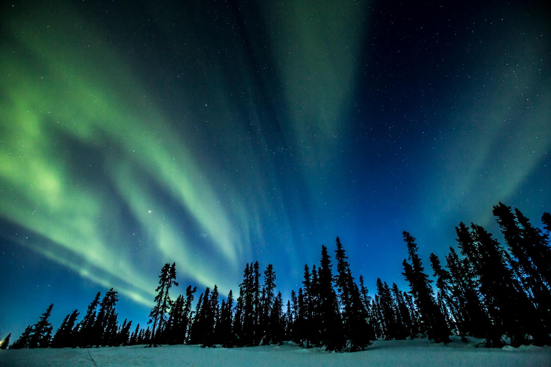 Eagle Plains Northern Lights