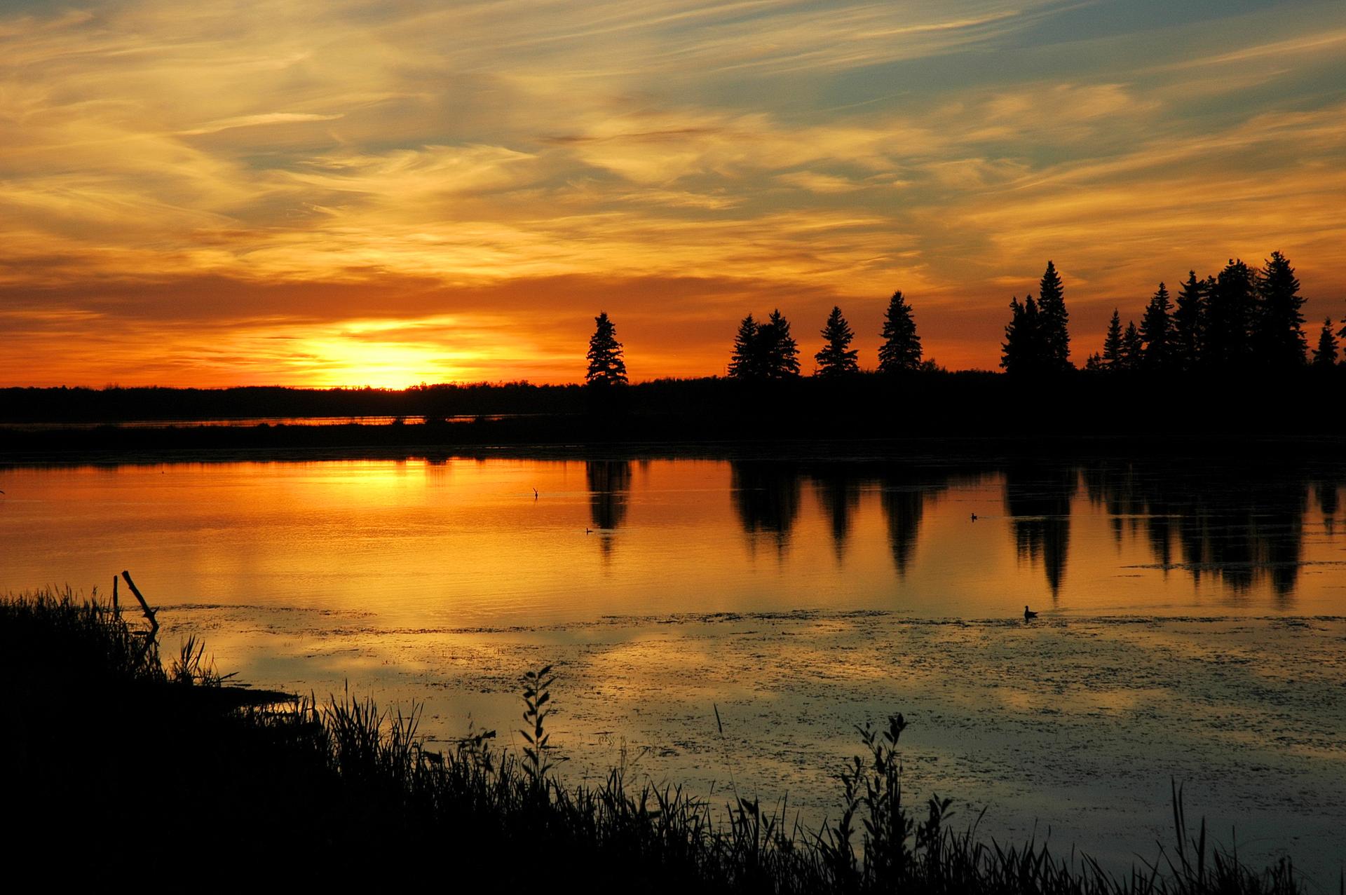 Le parc national Elk Island