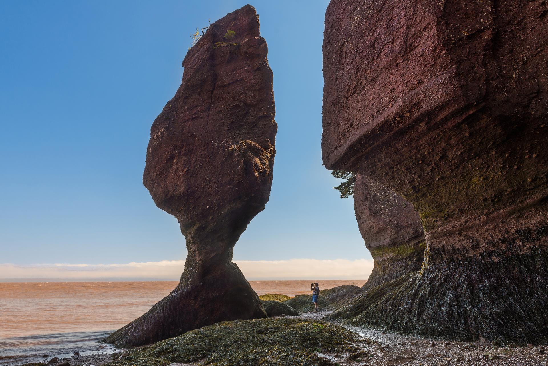 Hopewell Rocks – credit: Tourism New Brunswick