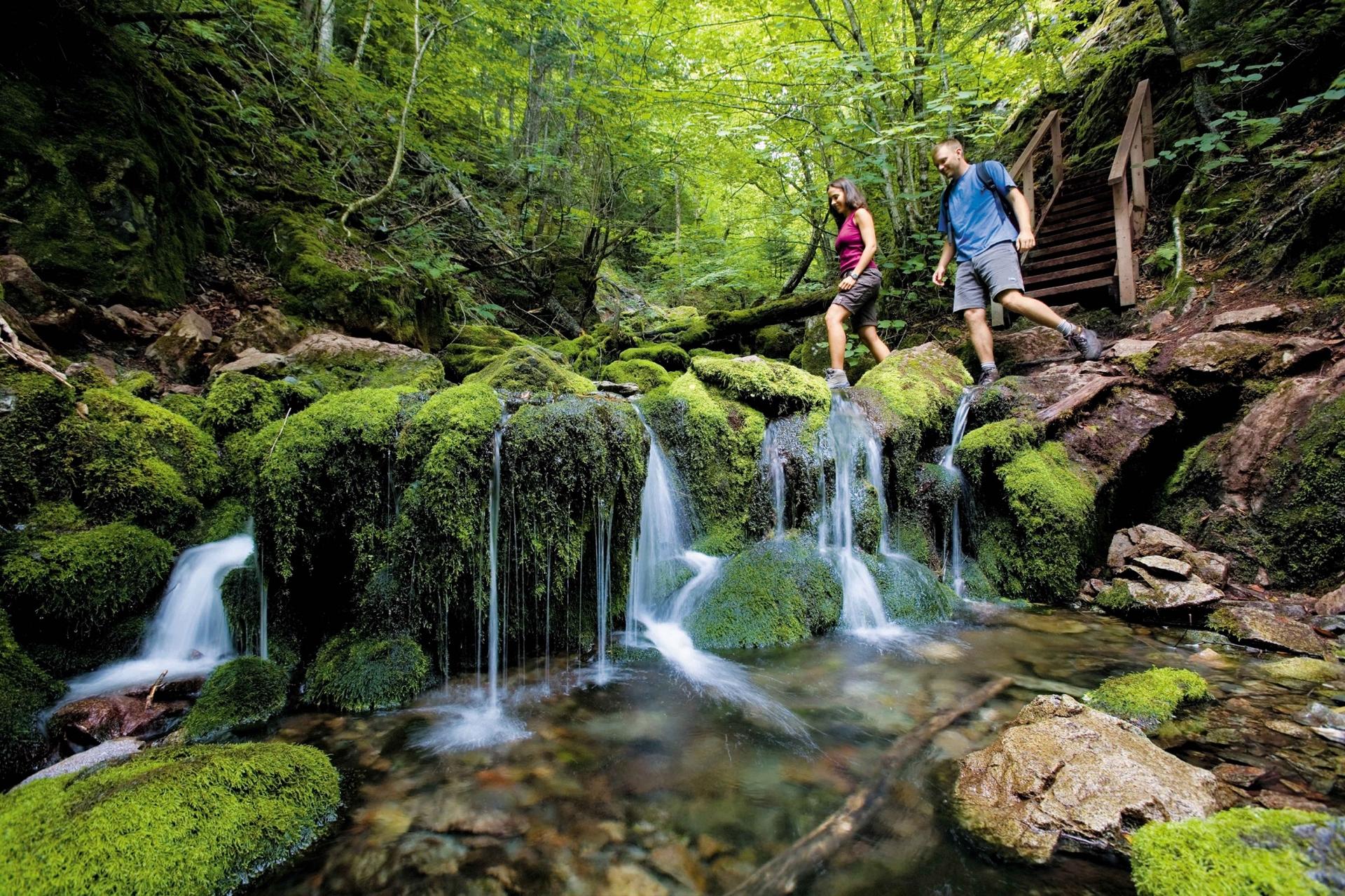 Fundy National Park