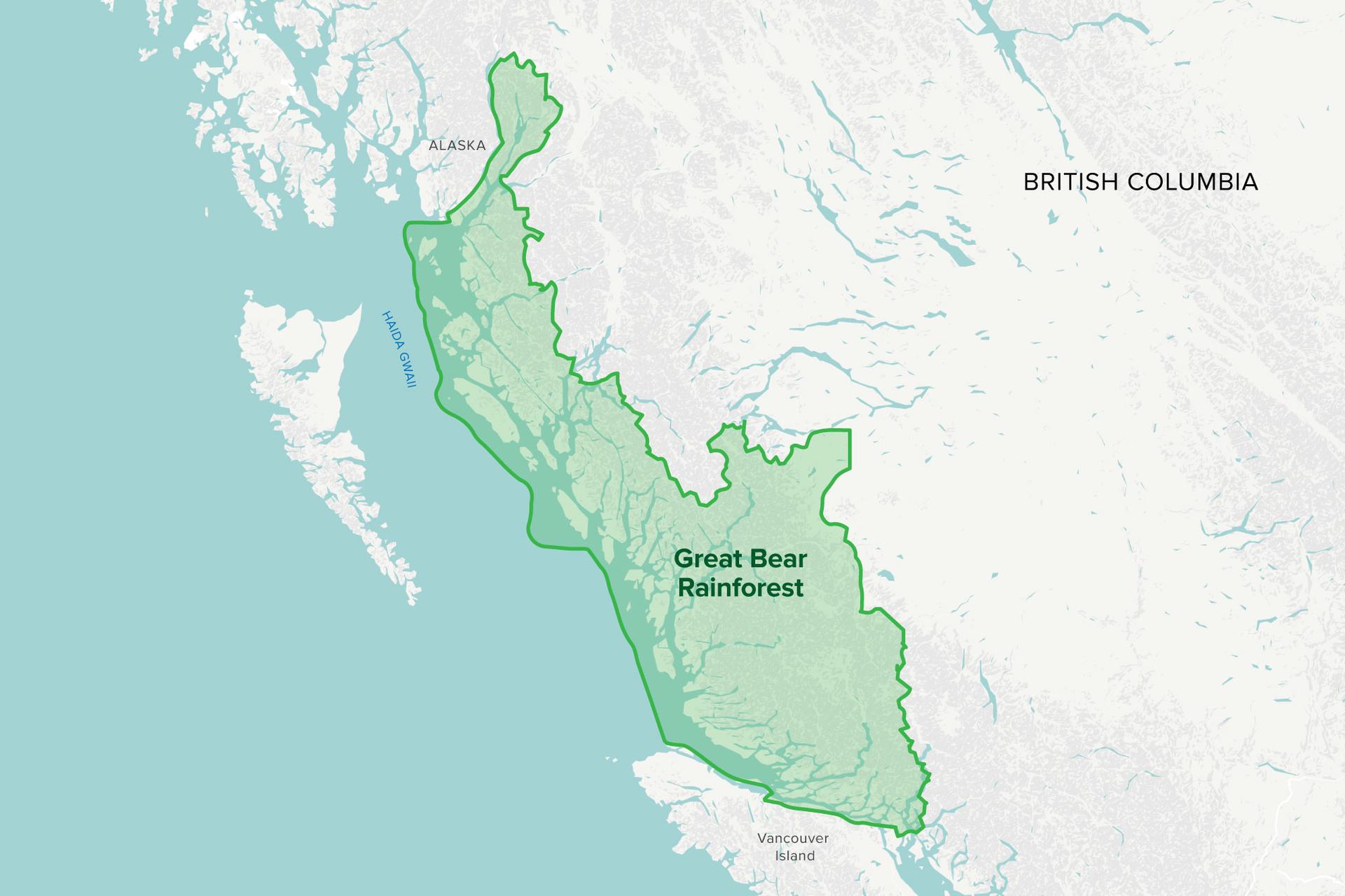 Great Bear Rainforest of British Columbia 