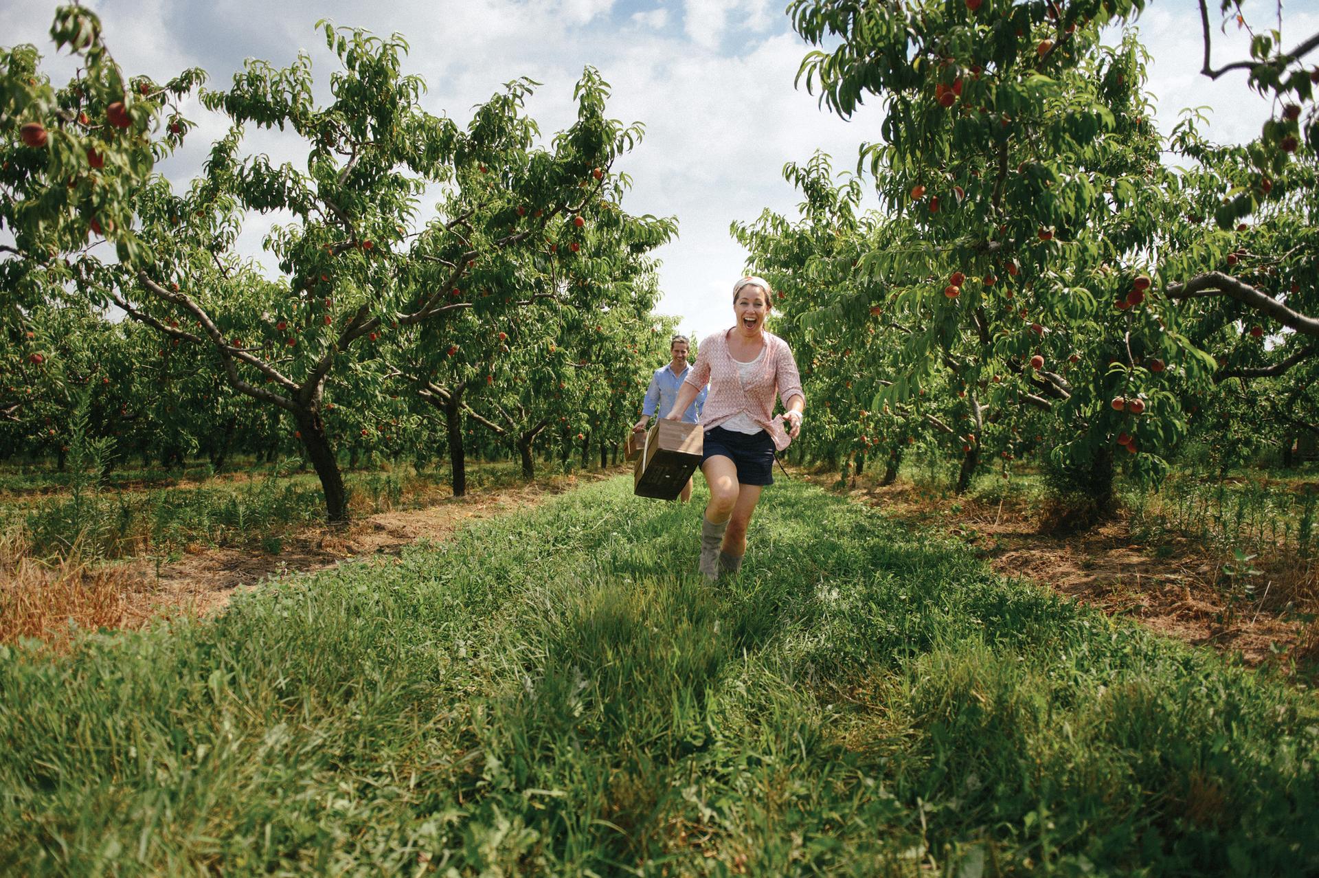 Farm-to-Table Dining Restaurants