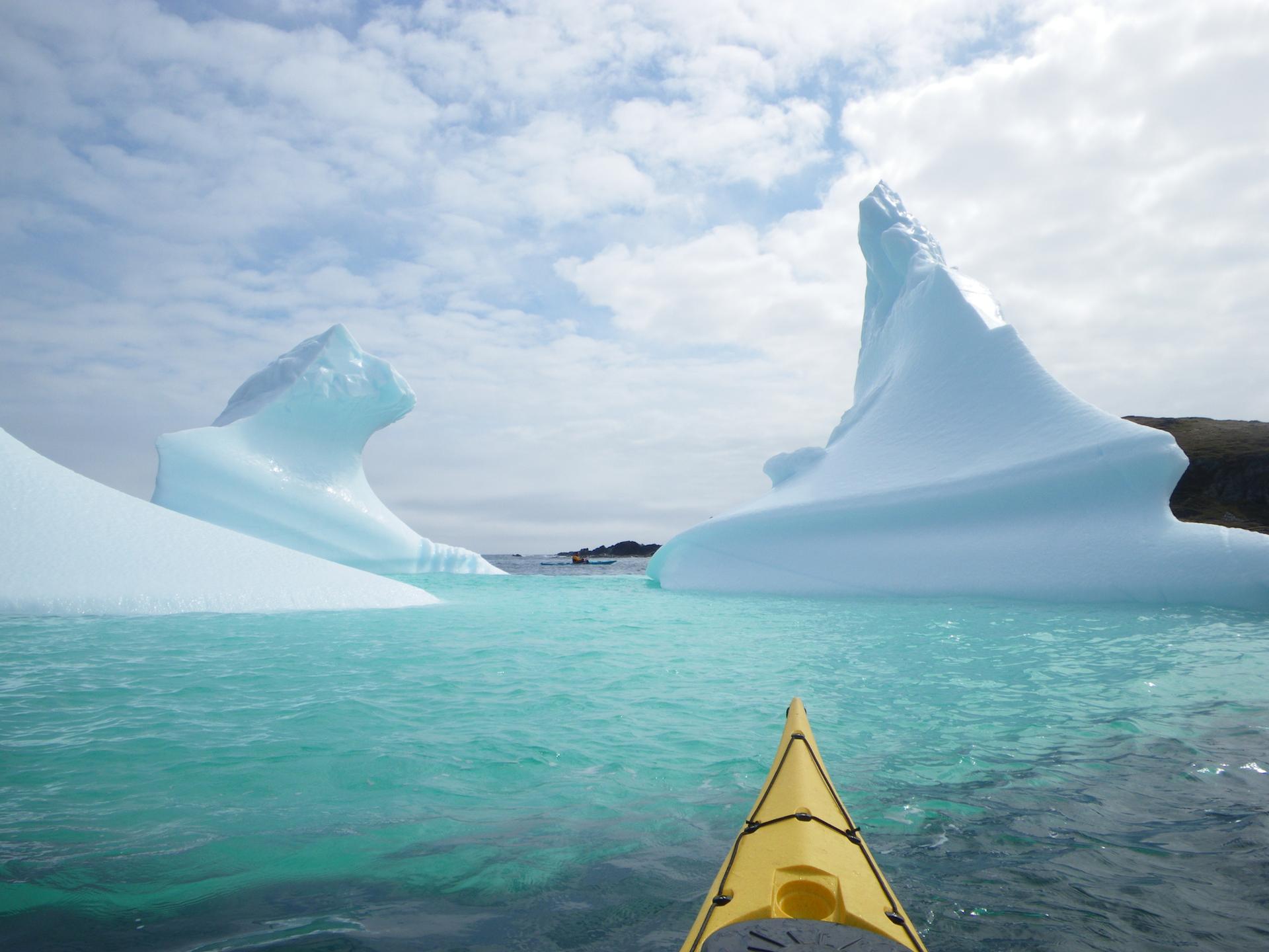 Kayakers paddling among icebergs near Quirpon Island, Western Newfoundland
