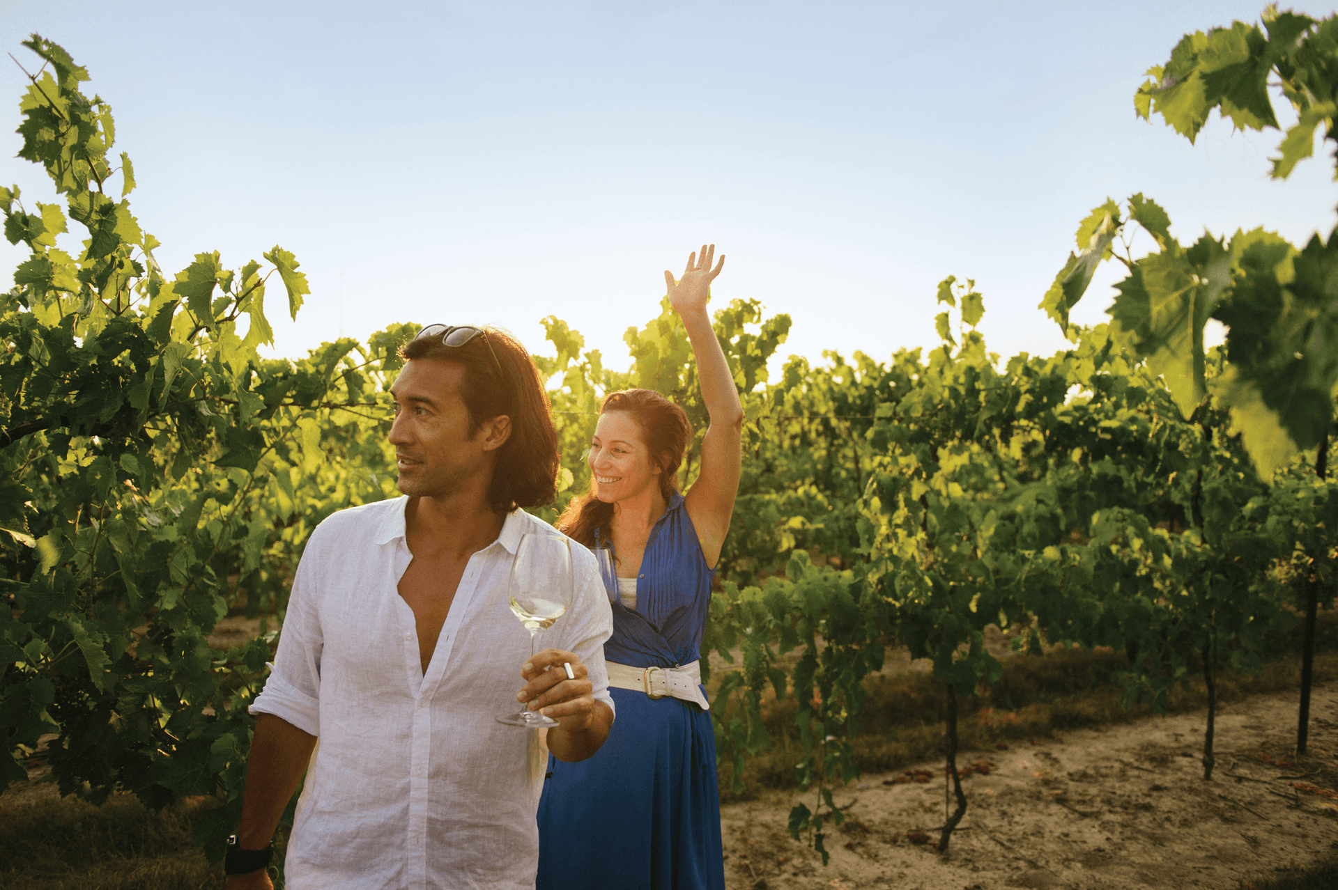 Inniskillin Niagara Estate Wines