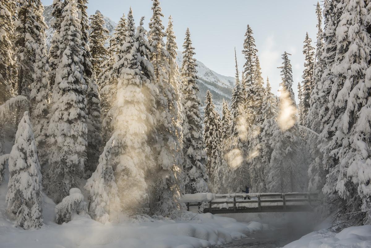 Ski de fond au parc national Kootenay, en Colombie-Britannique