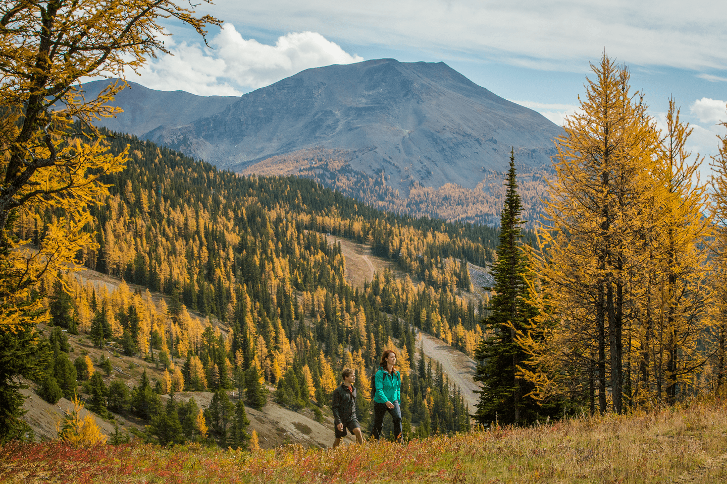 Larch Valley Sentinel Pass, Alberta