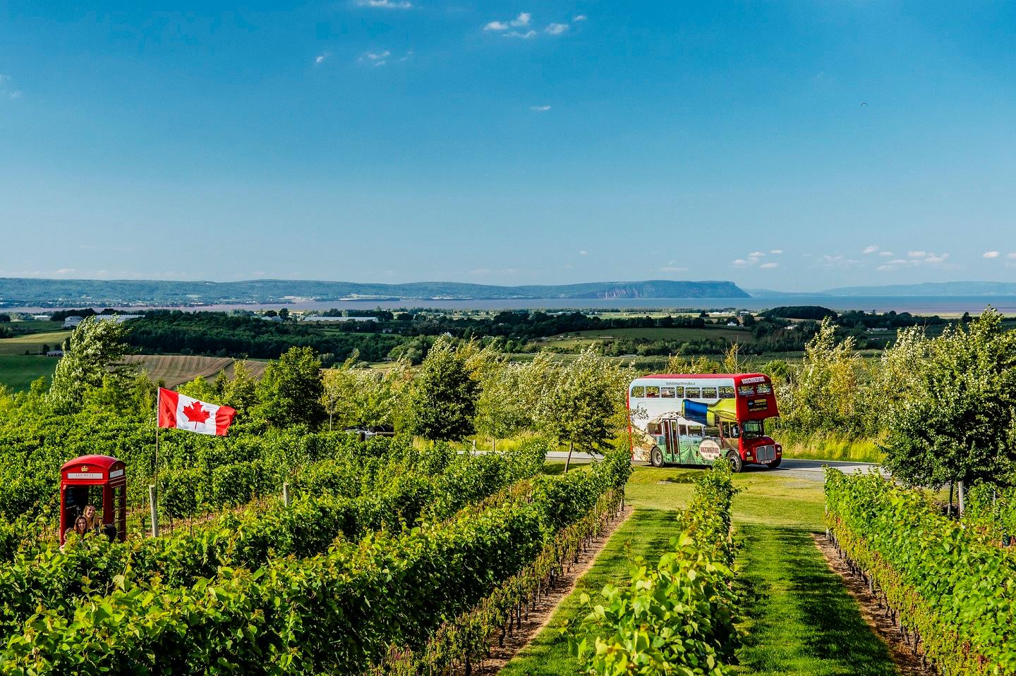 Magic Winery Bus