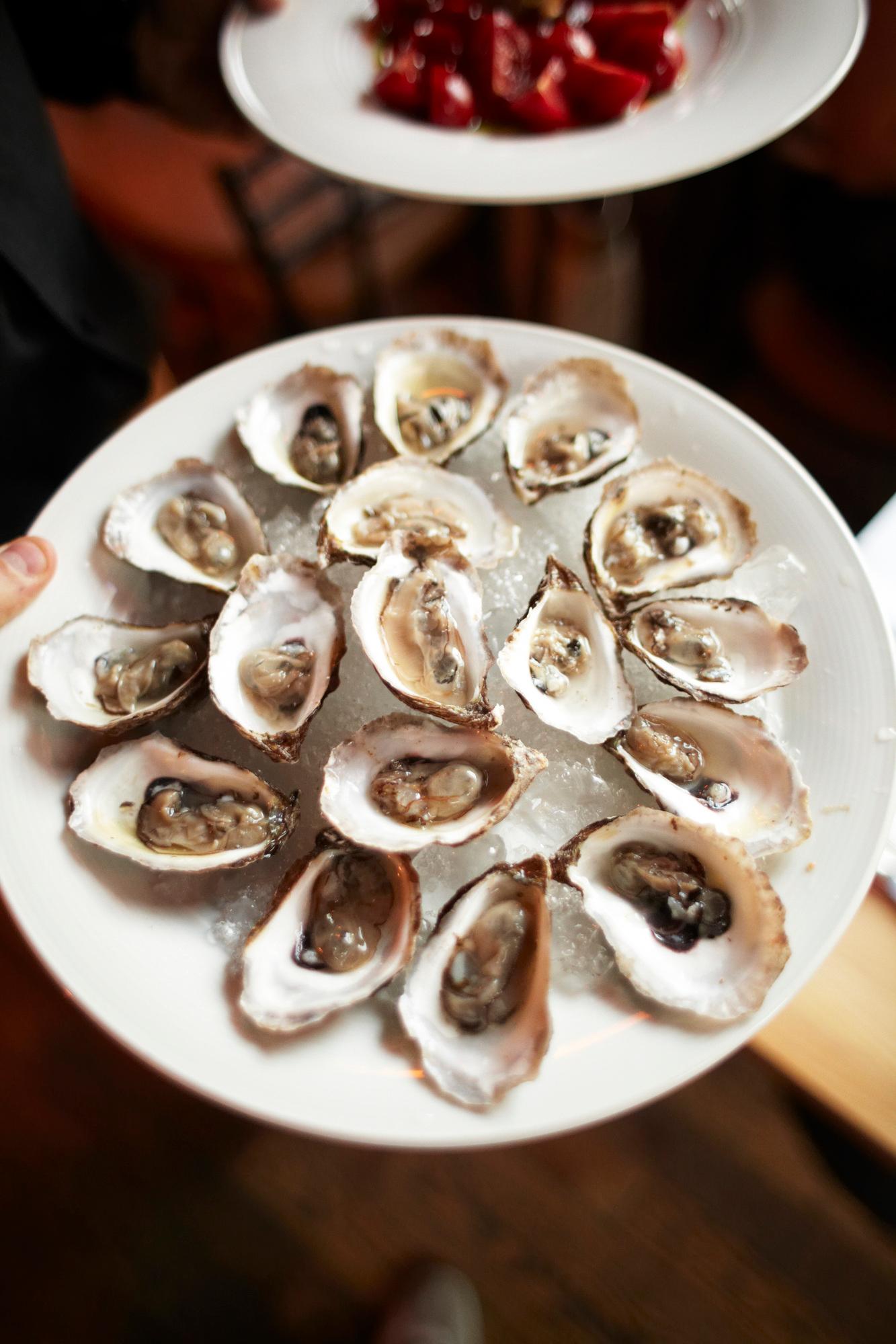 Oysters in Manitoba