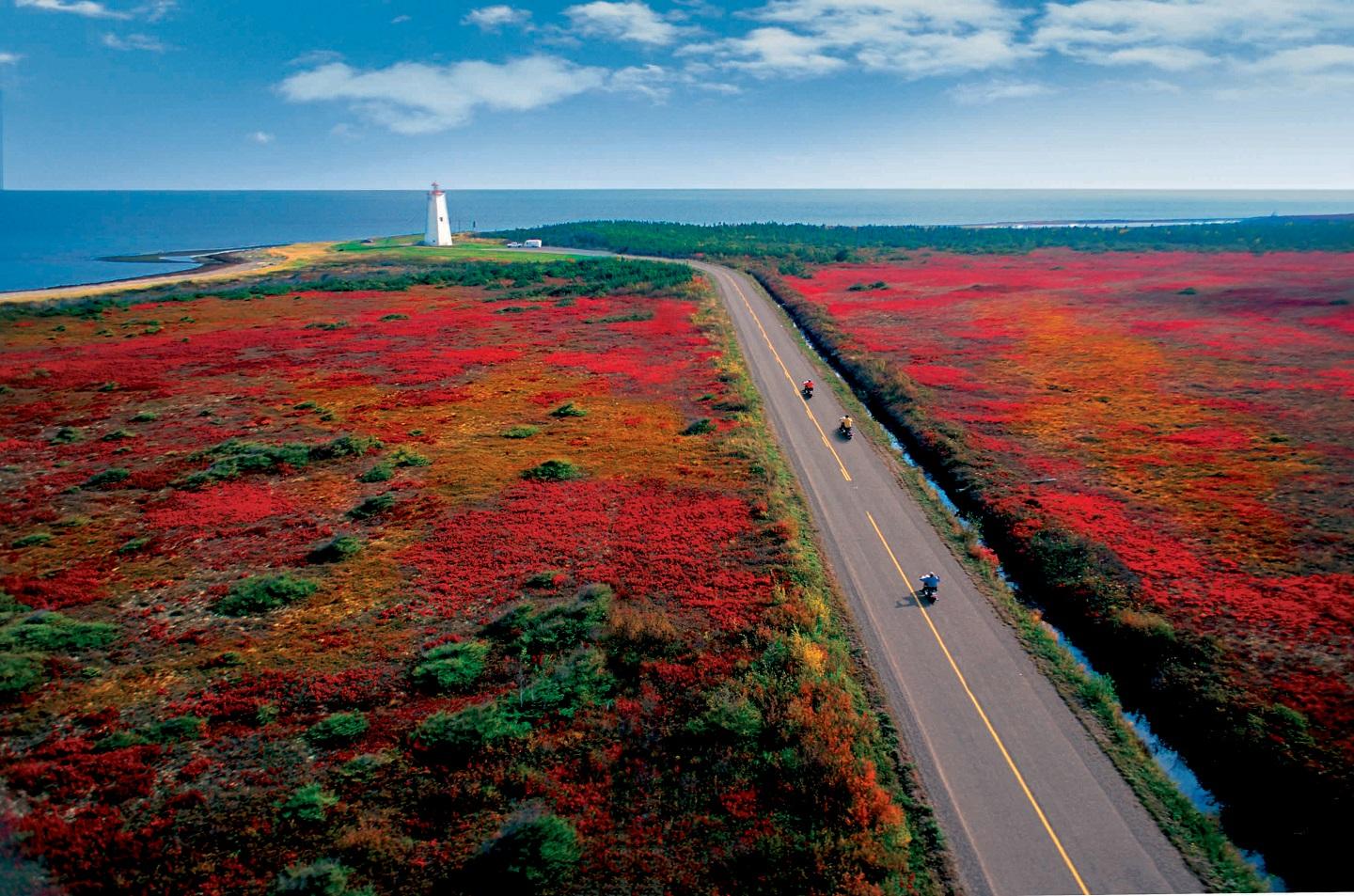 New Brunswick’s Top Road Trips