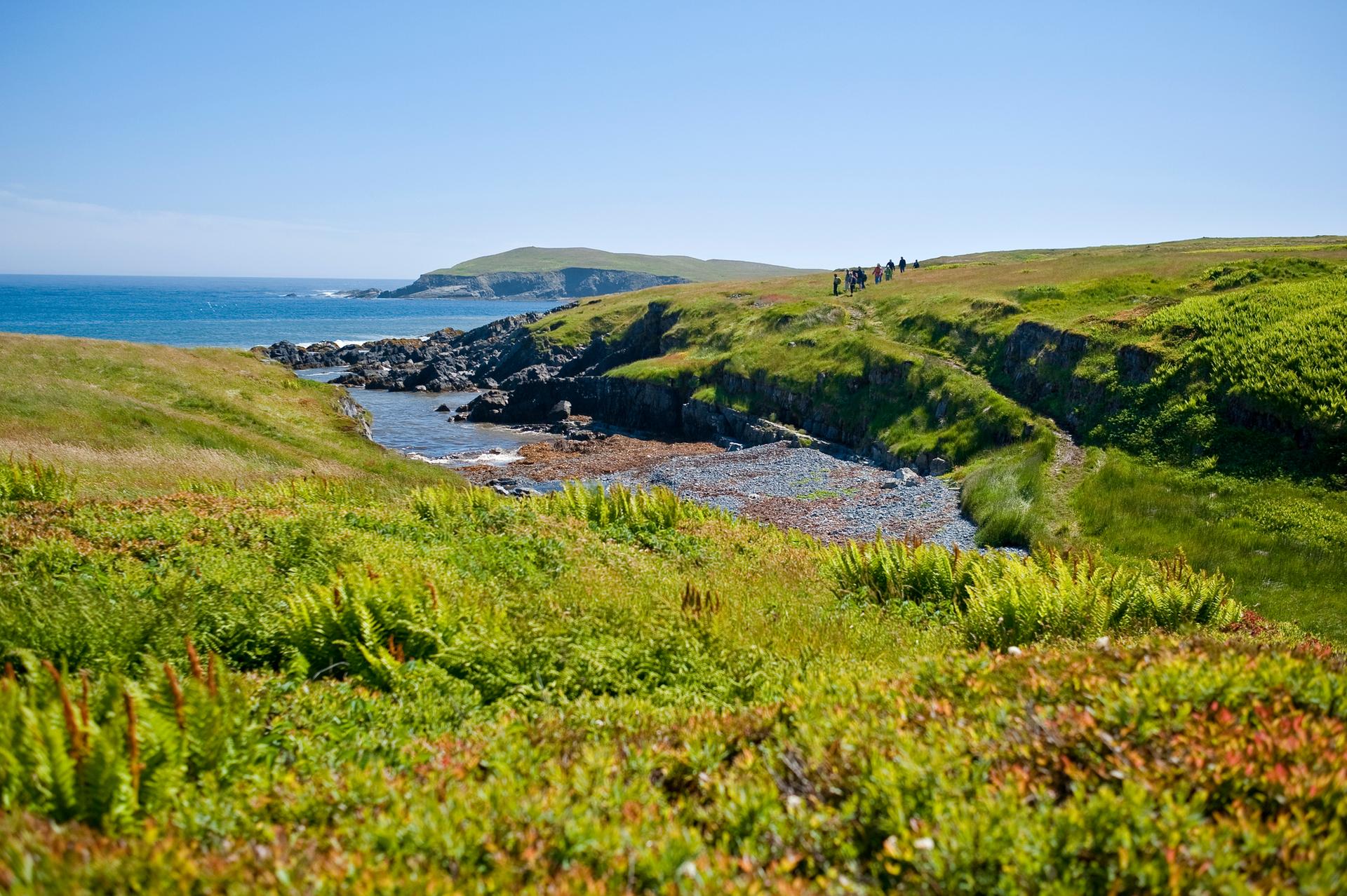 Mistaken Point Ecological Reserve