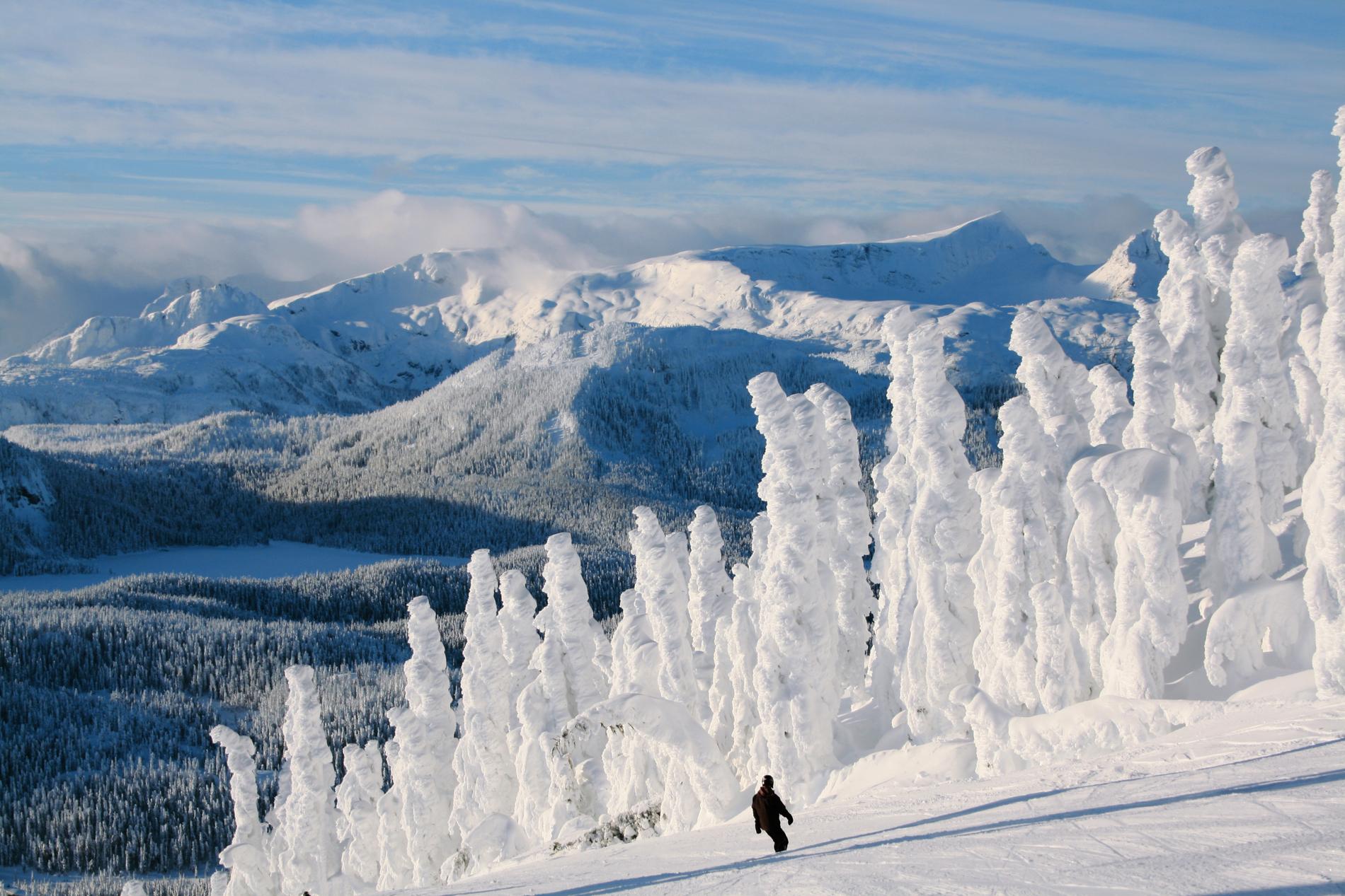 バンクーバー島のマウント・ワシントン・アルパイン・リゾート - credit: Mount Washington Alpine Resort
