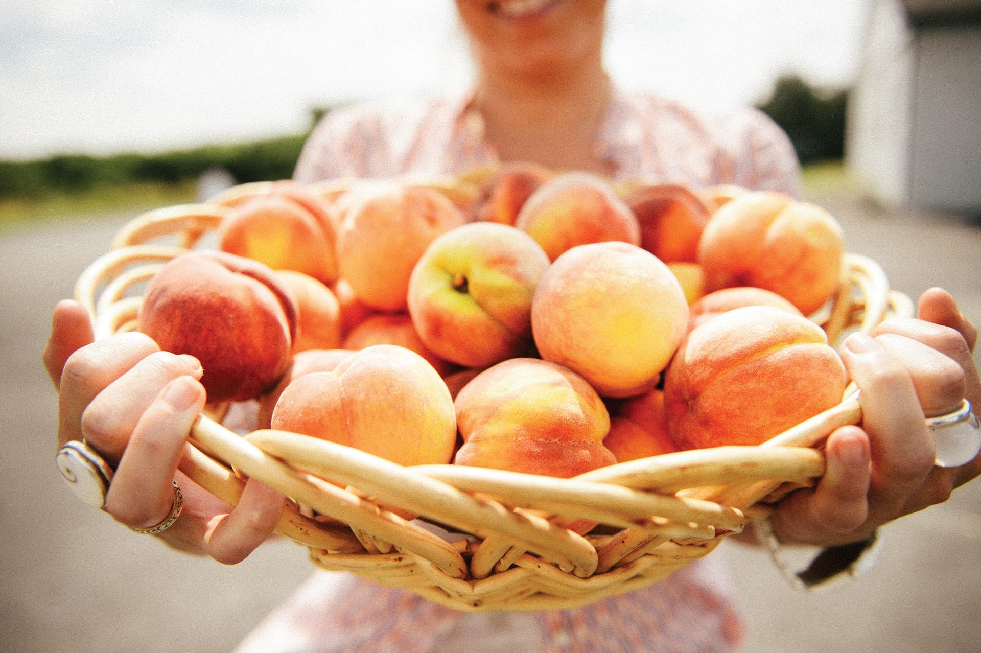 Niagara-on-the-Lake Farmers' Market