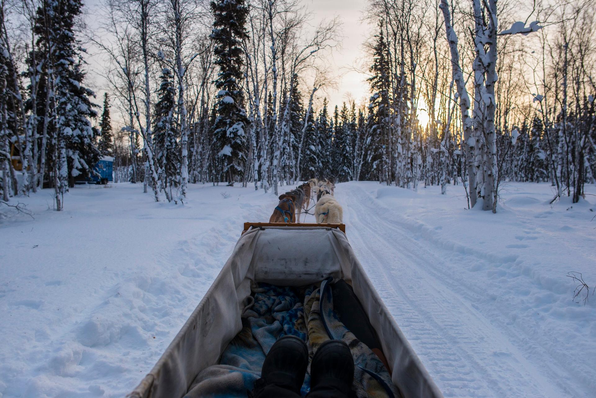 Dogledding in the Northwest Territories