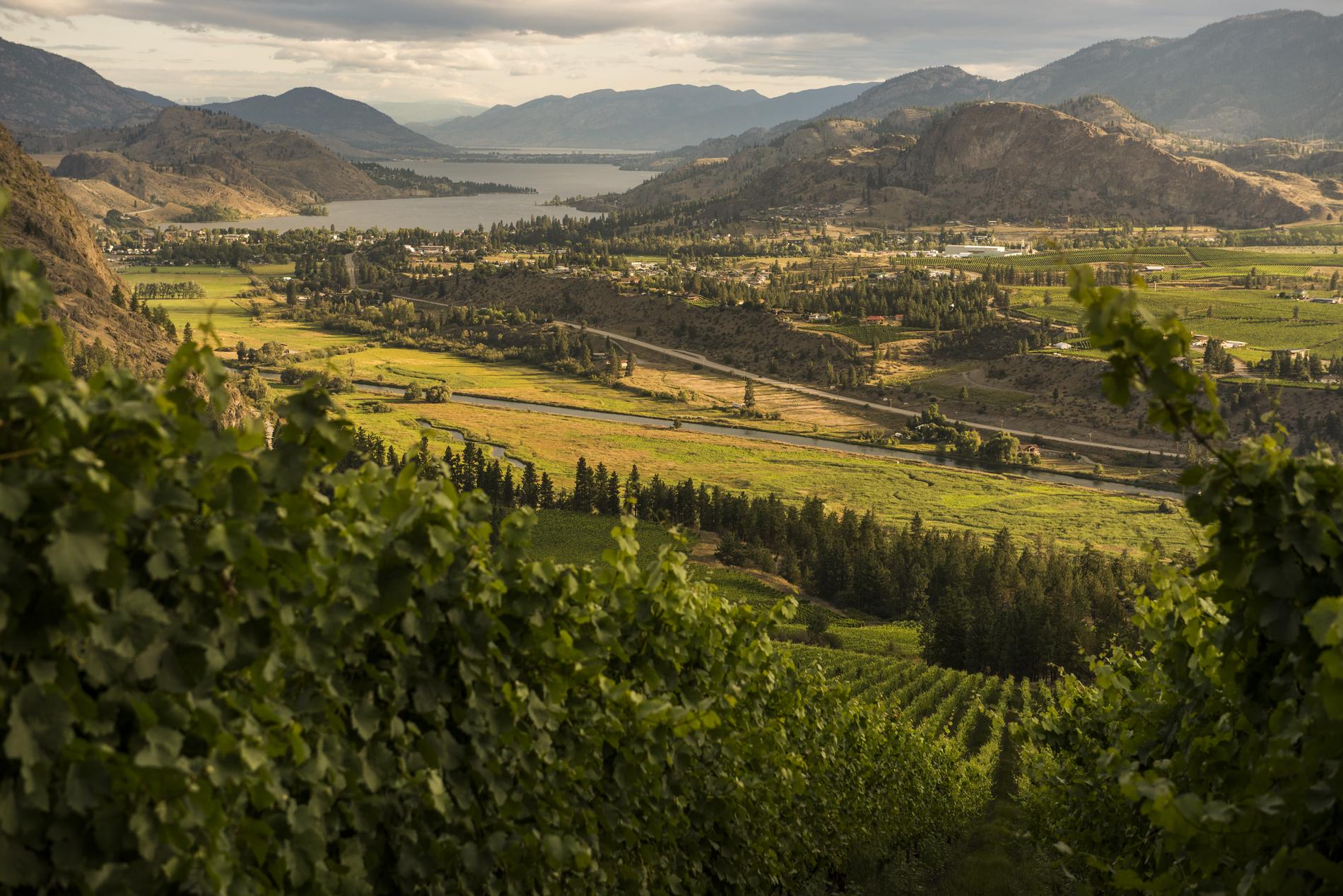 10 Must-Try Outdoor Adventures in BC's Okanagan
