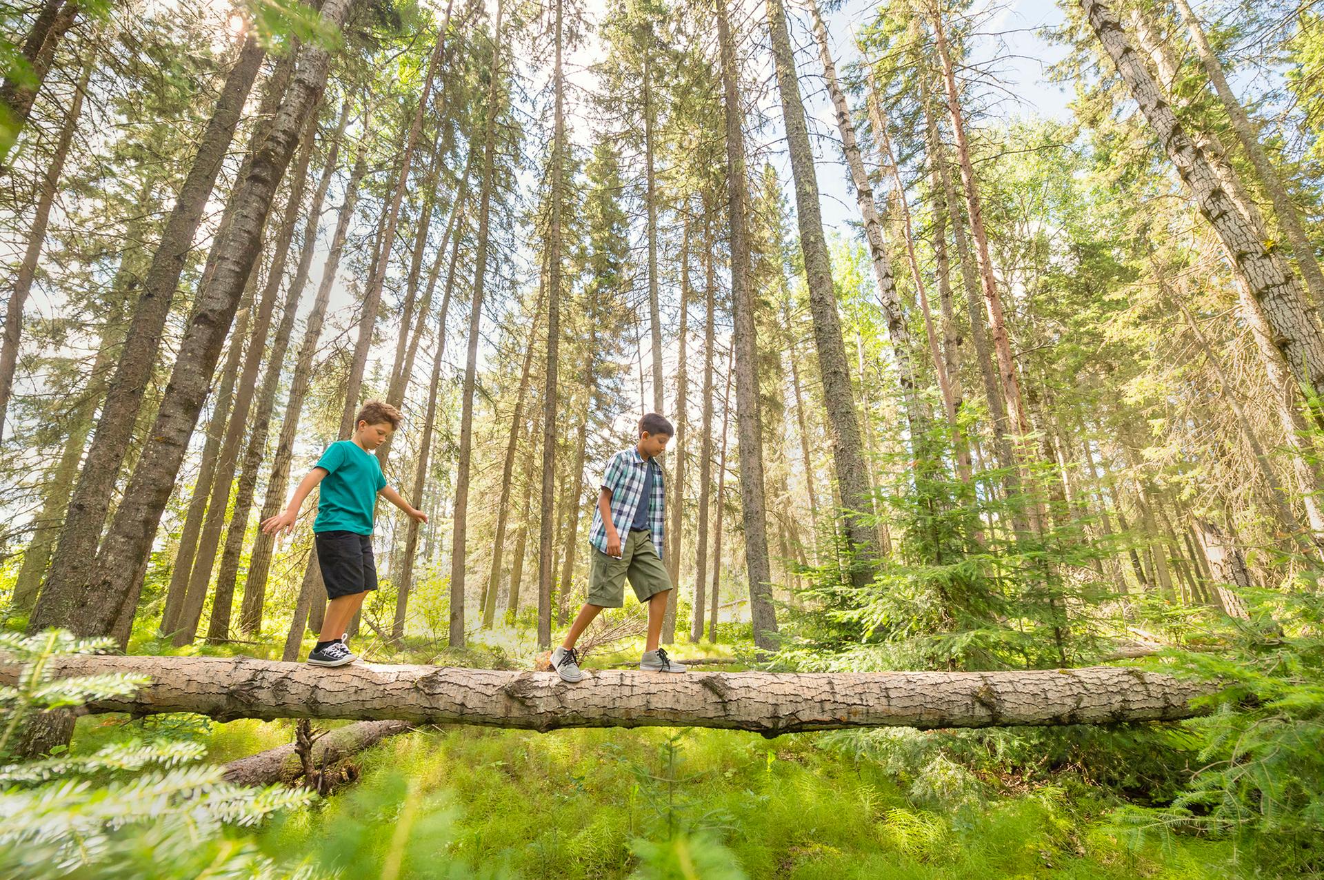 Prince Albert National Park