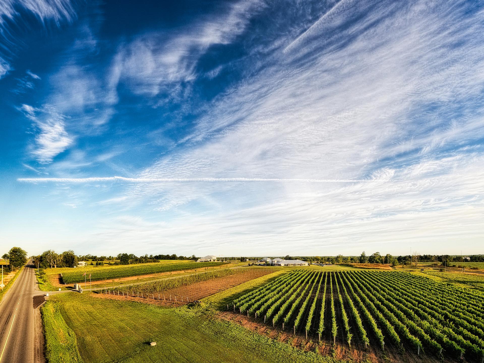Huff Estates Inn and Winery