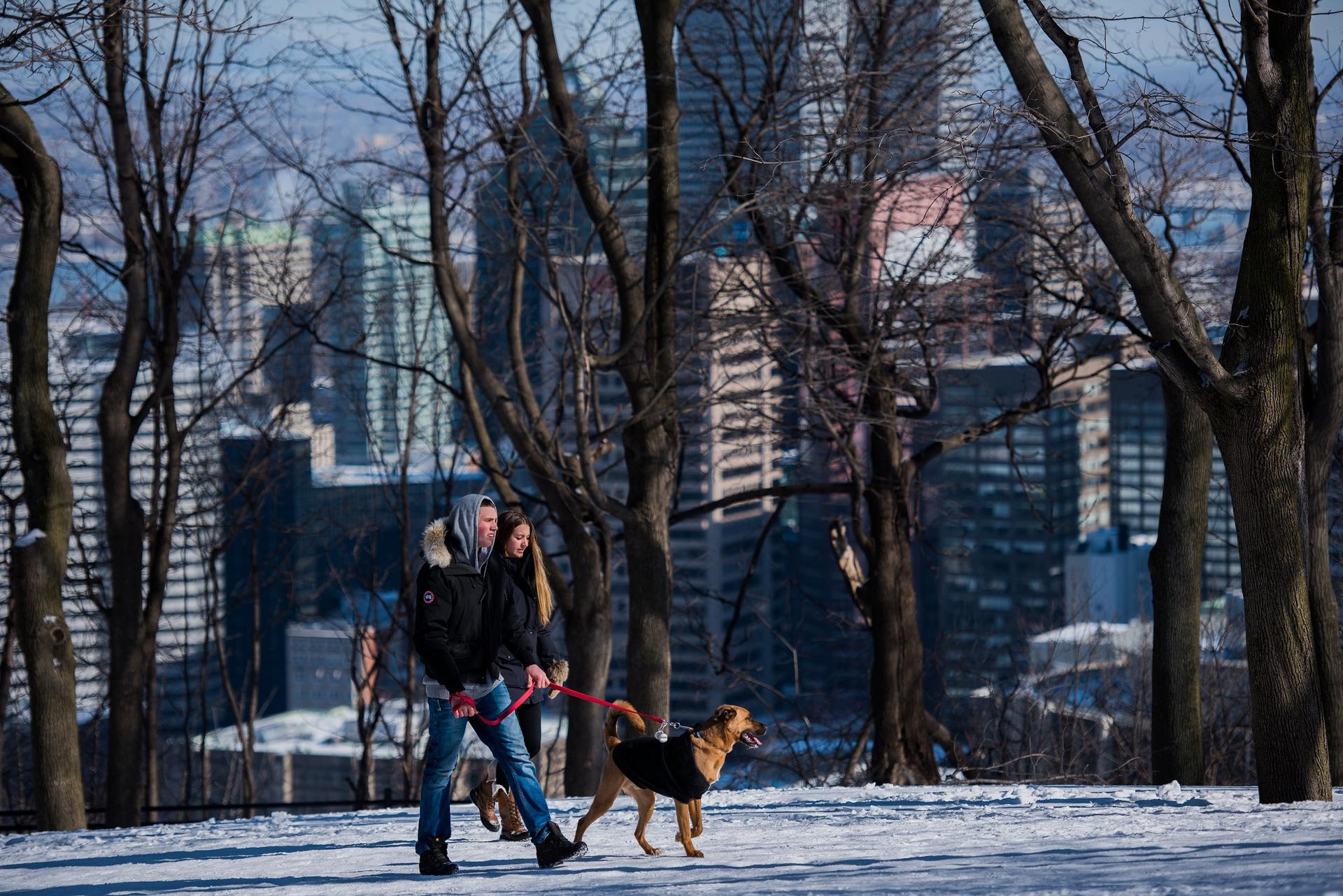 Mount Royal Park overlooking Montreal