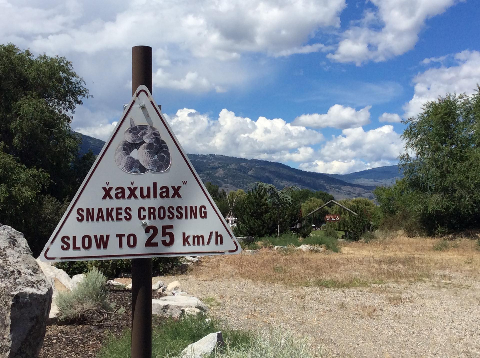 Image credit: Zoë Dawes August 2016