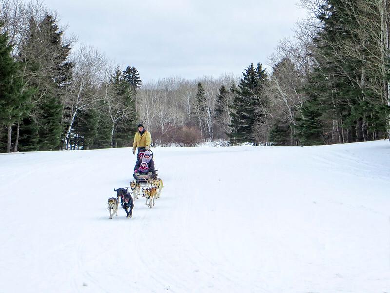 Dog sledding in Riding Mountain National Park, Manitoba