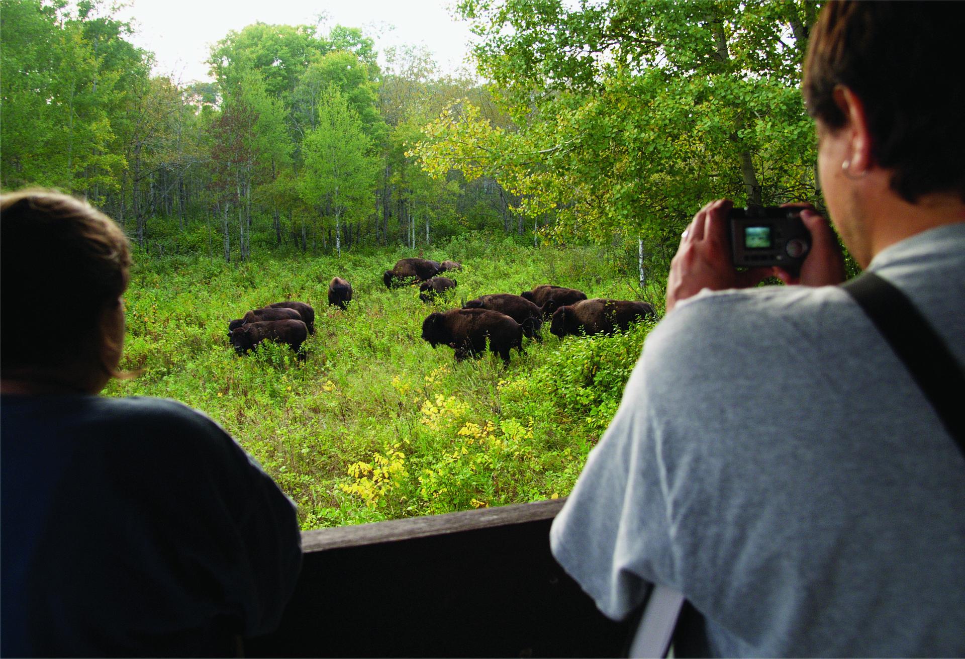 Riding Mountain National Park