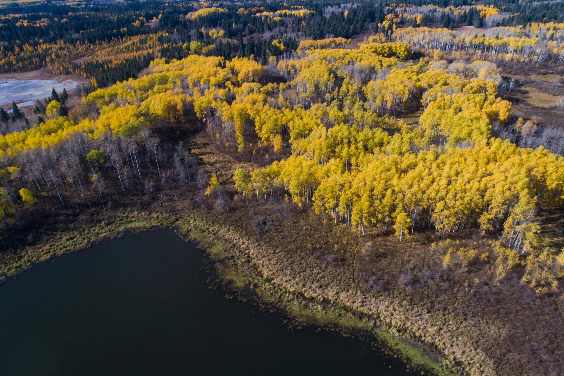Riding Mountain National Park