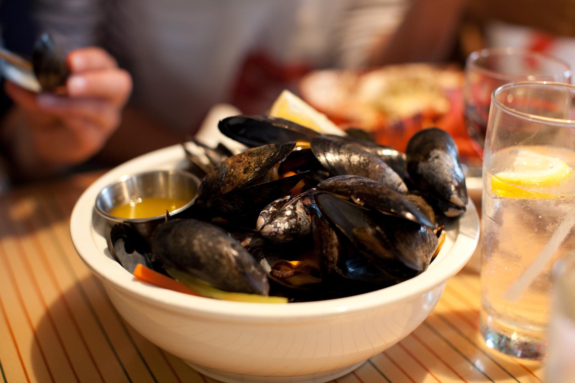 Fresh caught mussels in Charlottetown
