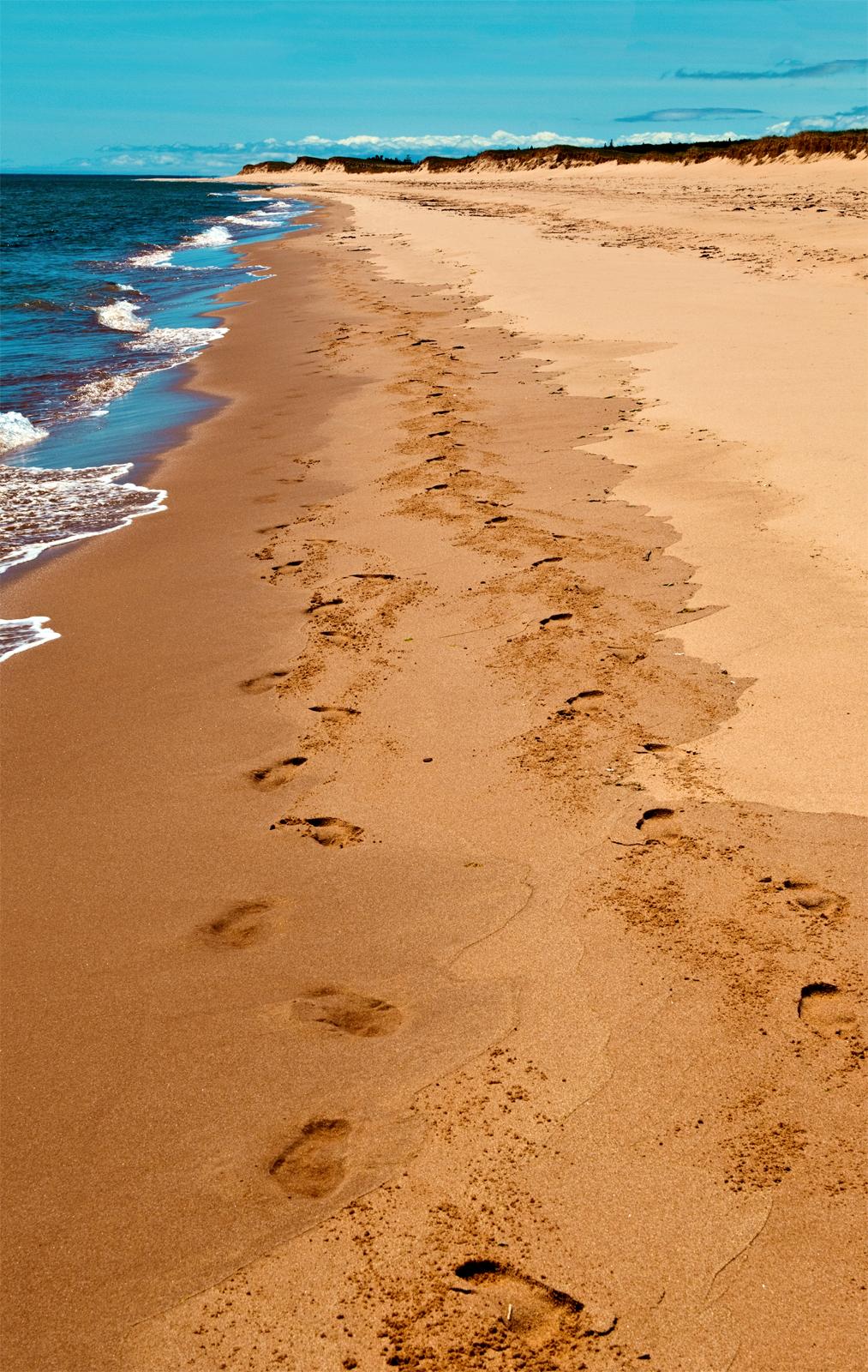 The Singing Sands