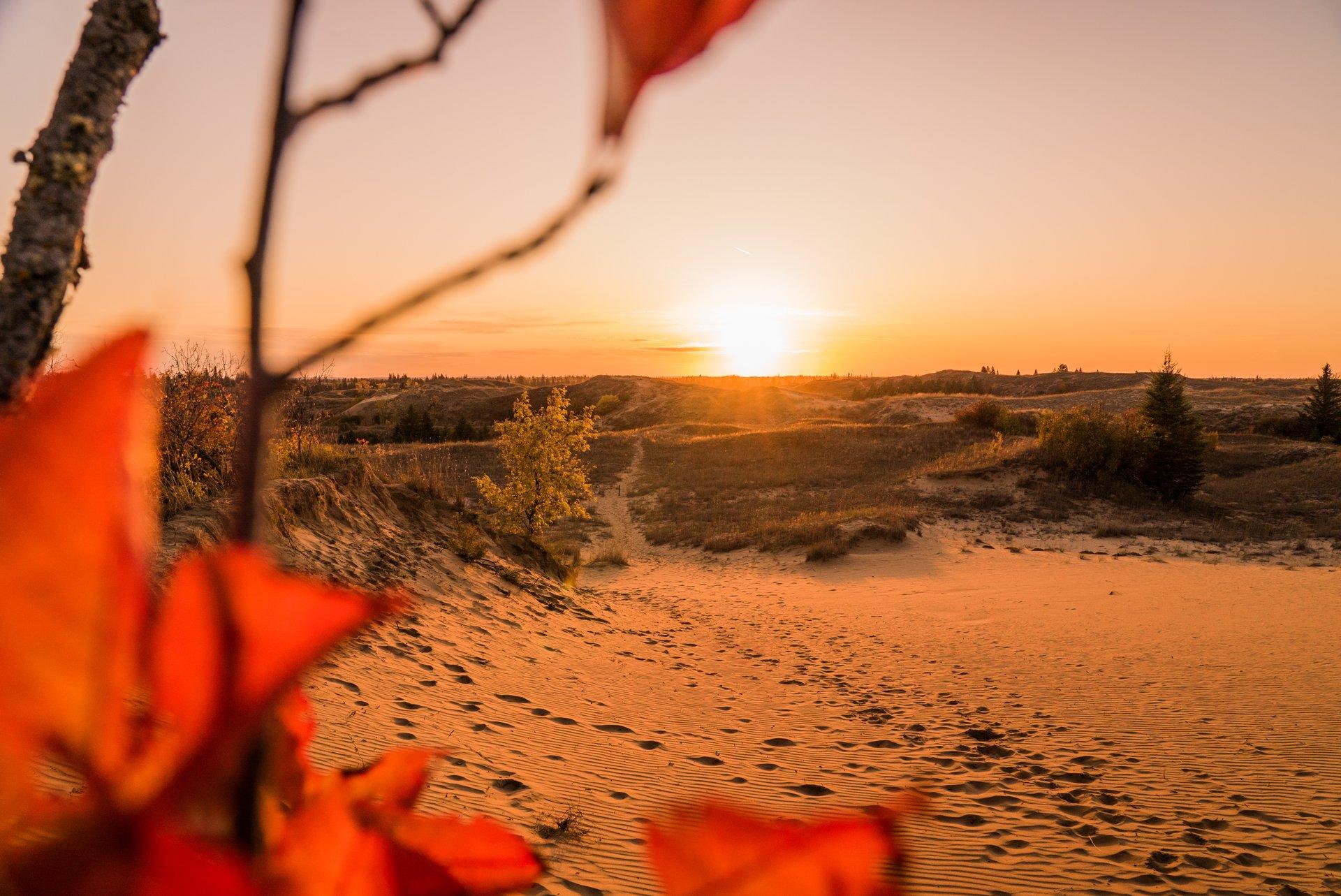 Spirit Sands Self-guiding Trail in Spruce Woods Provincial Park - credit: Travel Manitoba