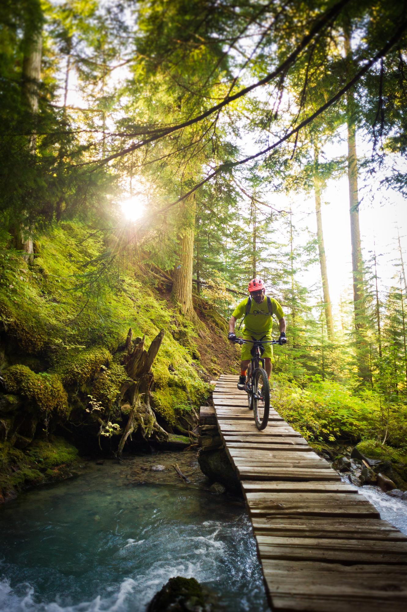 Mountain biking in Whistler forest