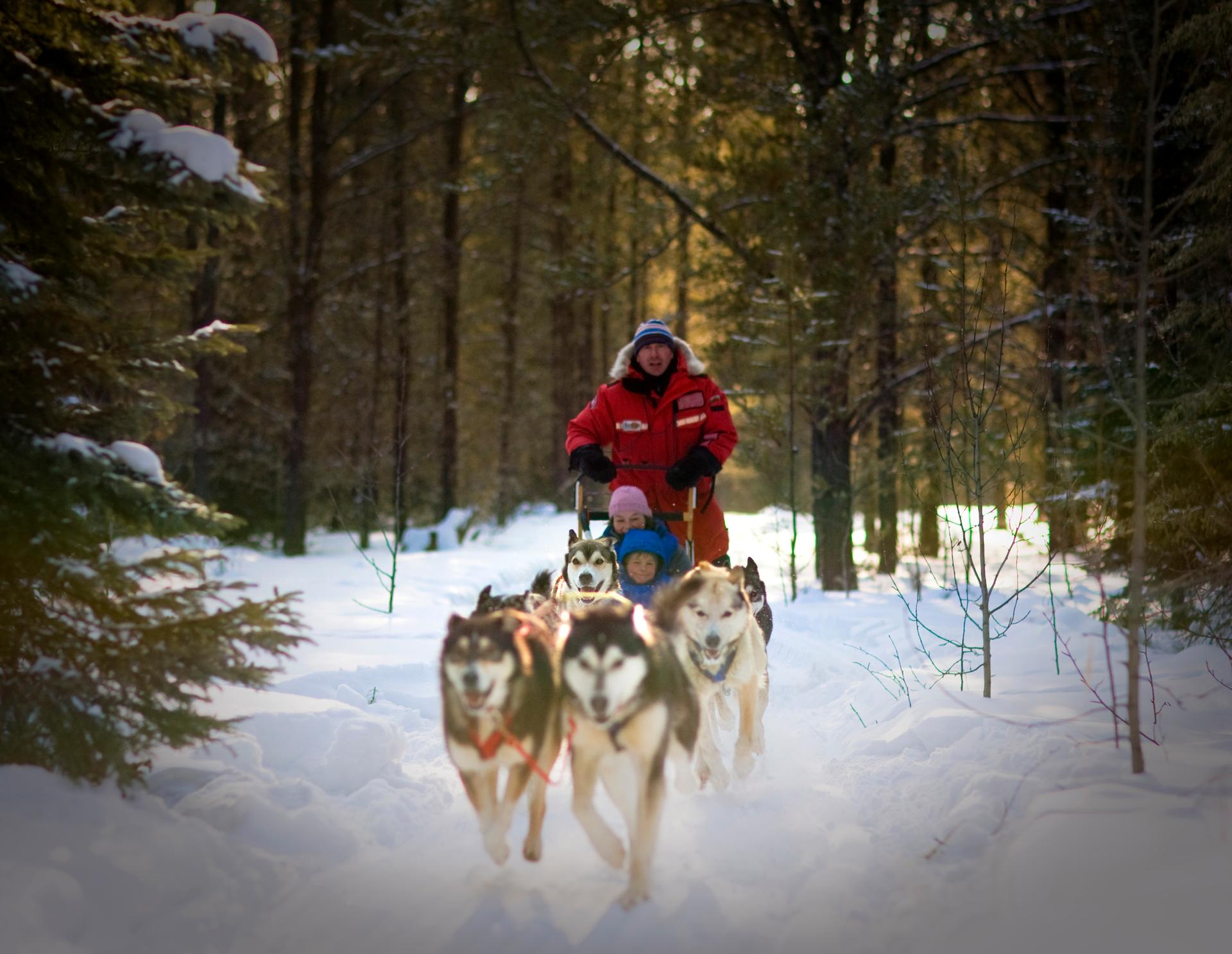 Sundog Excursions dog sledding