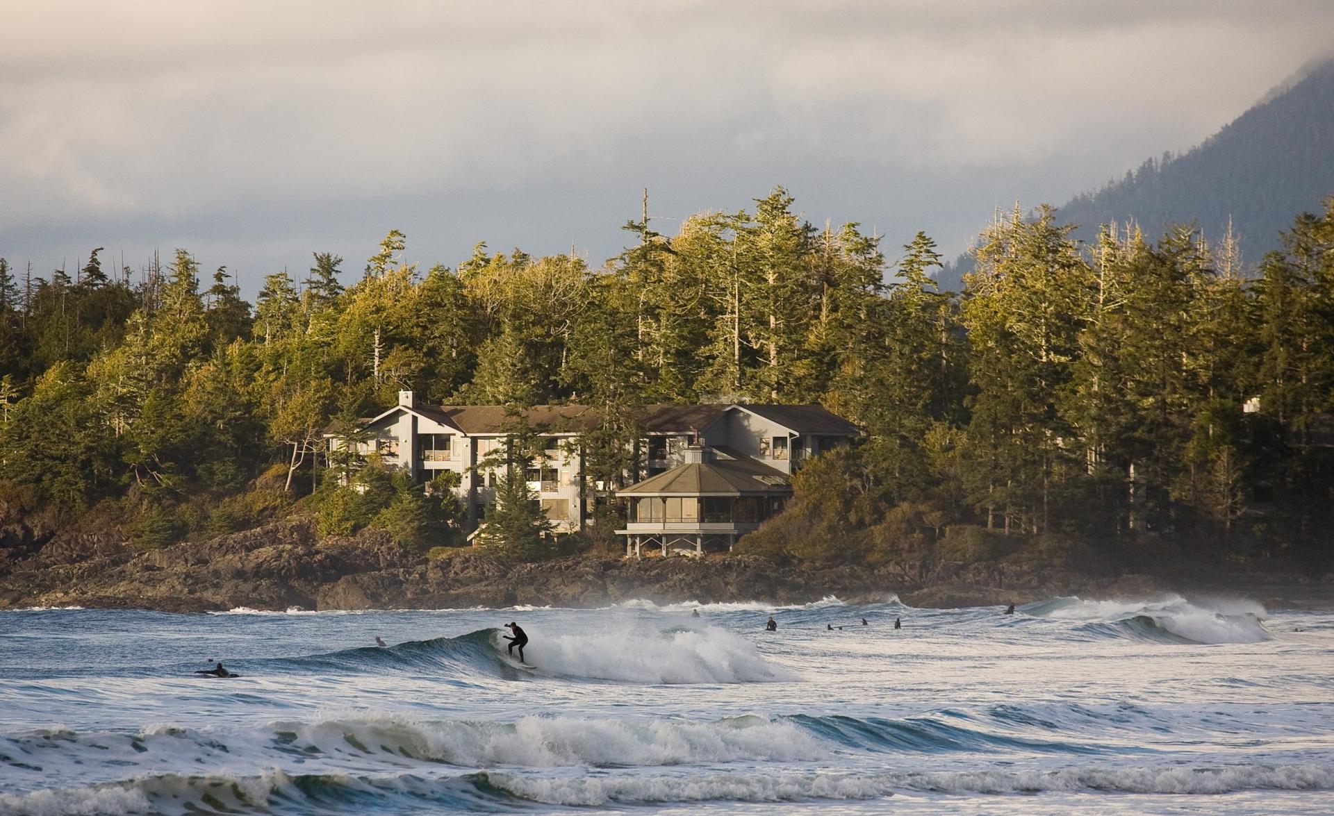 Tofino