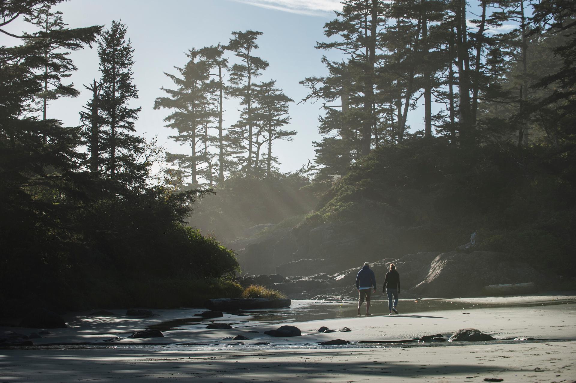 Tofino