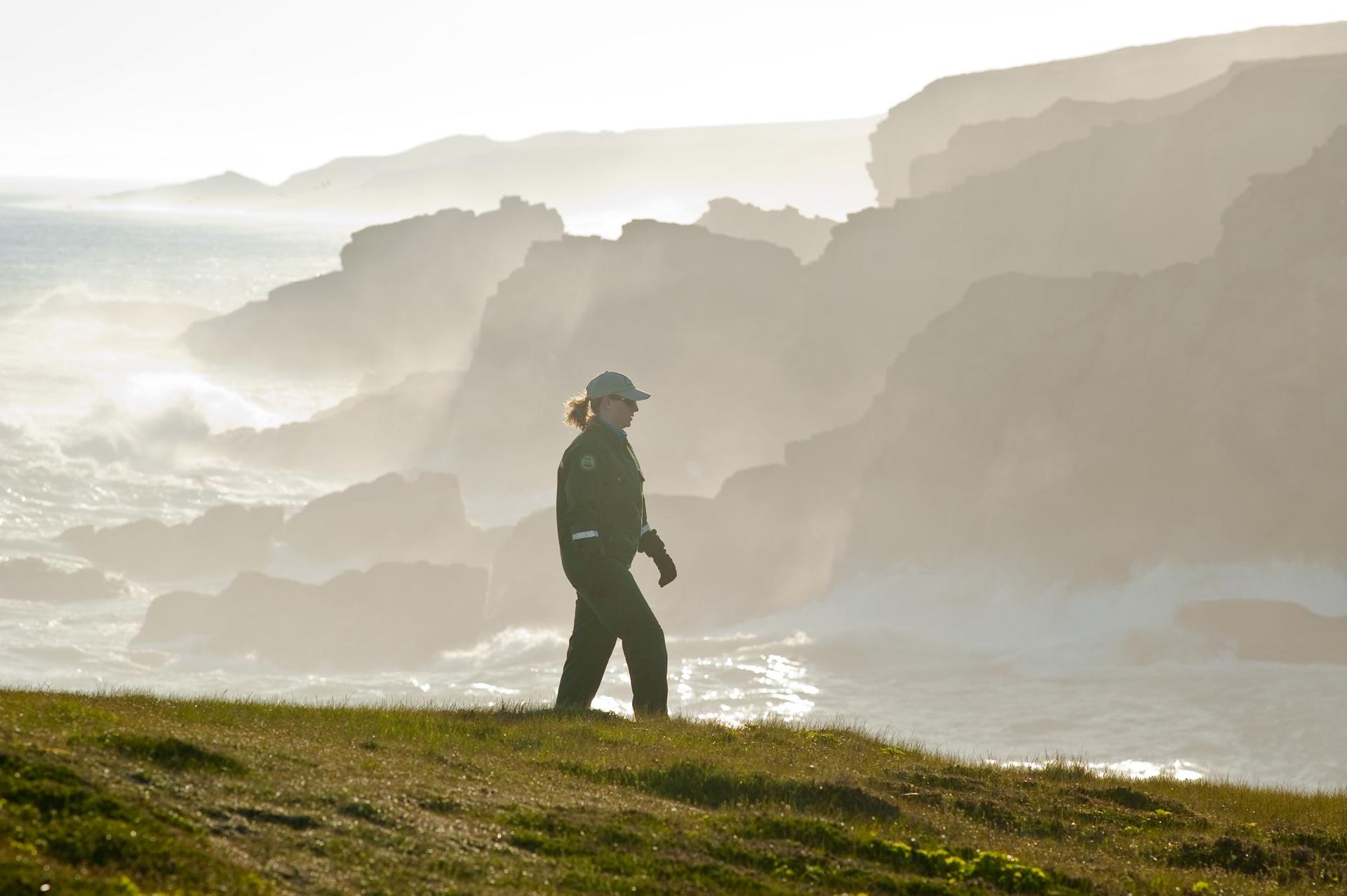 A tour guide near the coastline of Mistaken Point