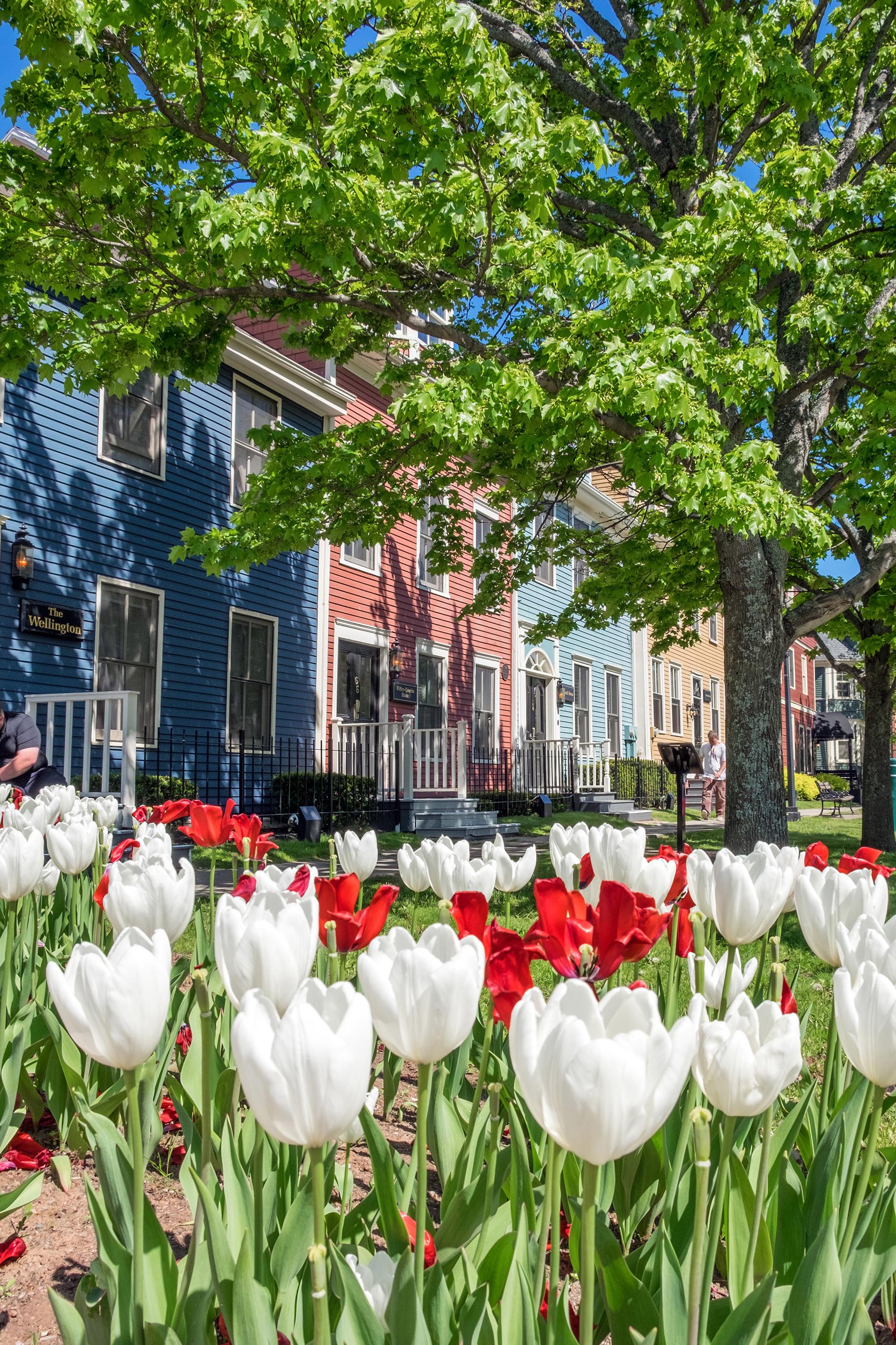 Charlottetown