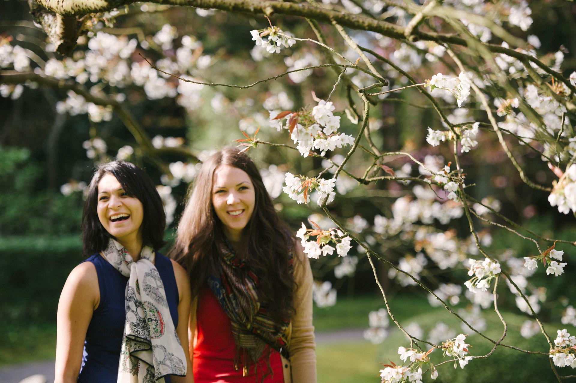 UBC Nitobe Memorial Gardens