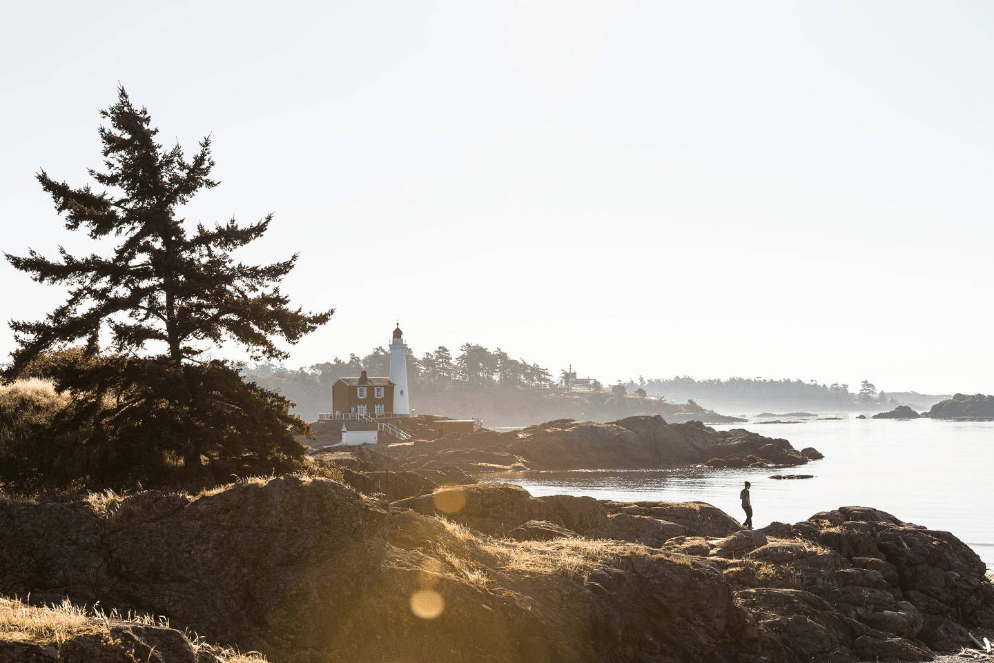 Victoria, British Columbia - credit: Destination BC / Reuben Krabbe