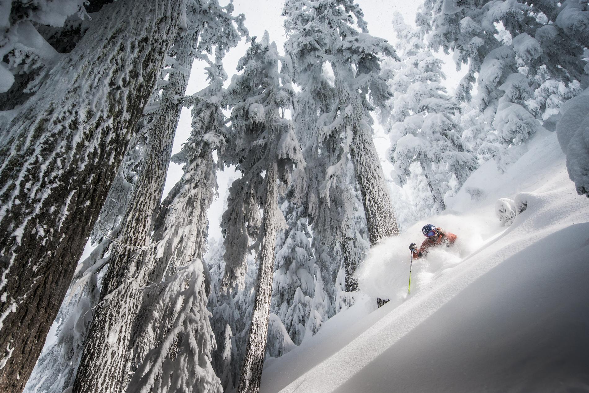 Skiing Whistler Blackcomb