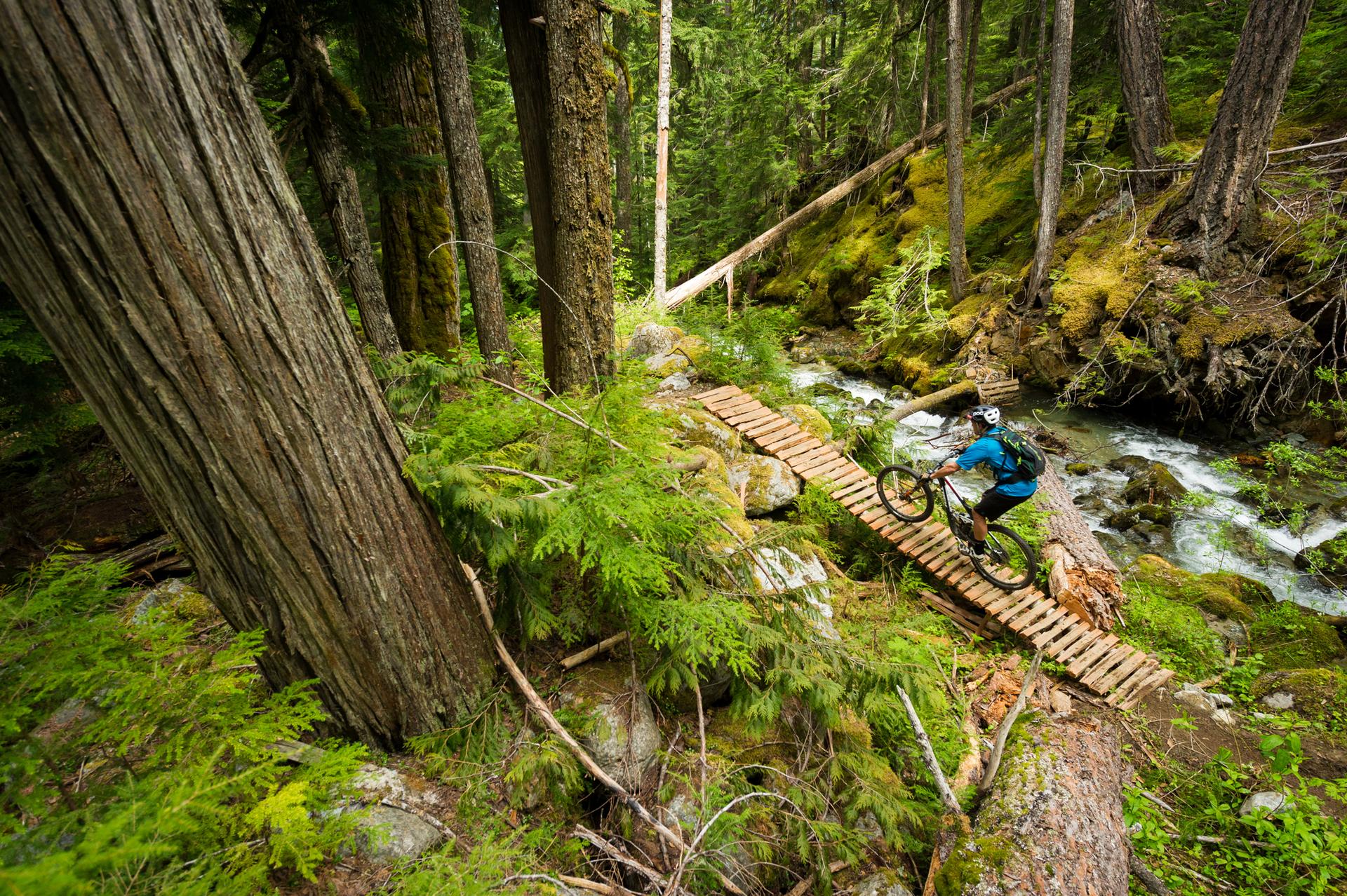 Whistler fall mountain biking