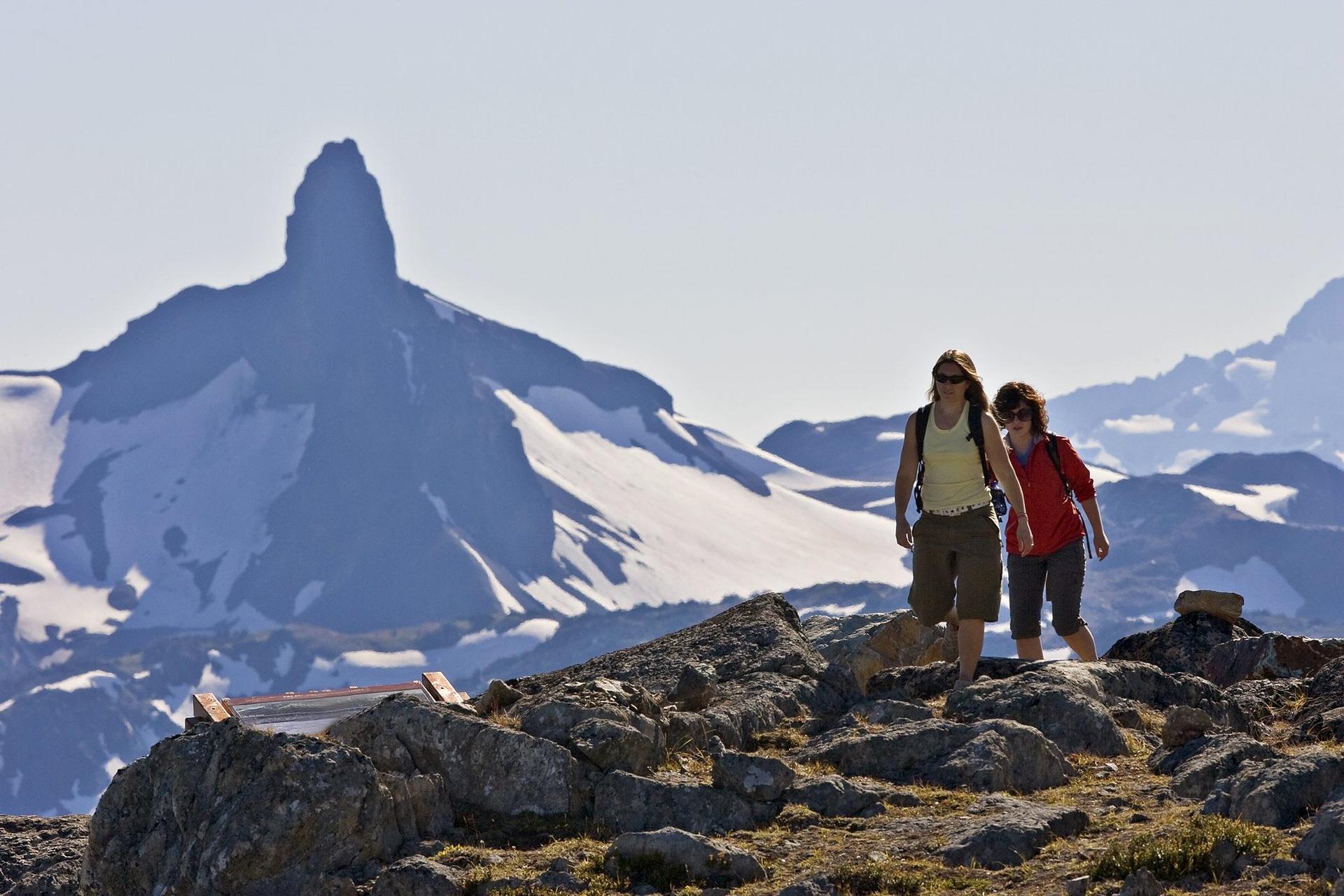 Senderismo y excursiones turísticas alpinas - Whistler