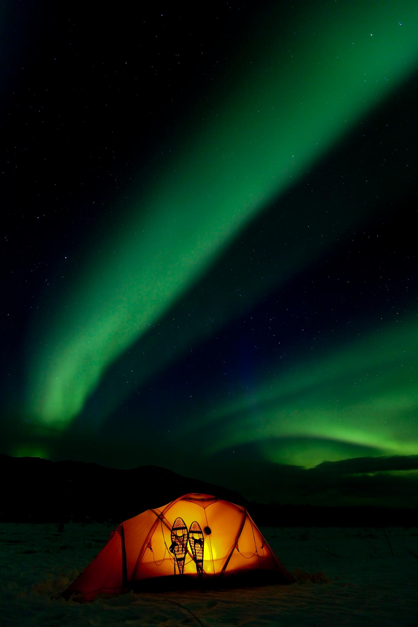 Northern Tales Yukon Aurora Borealis